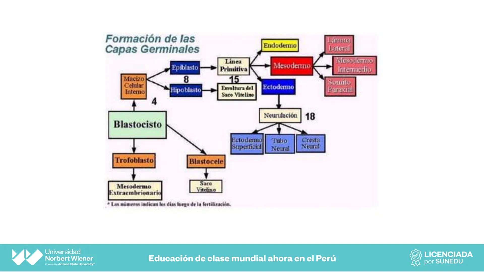 Universidad
Norbert Wiener
Powered by Arizona State University®
VERY GOOD
QS
¡Bienvenidos!
UNIDAD III - Fundamentos Integrados del Siste