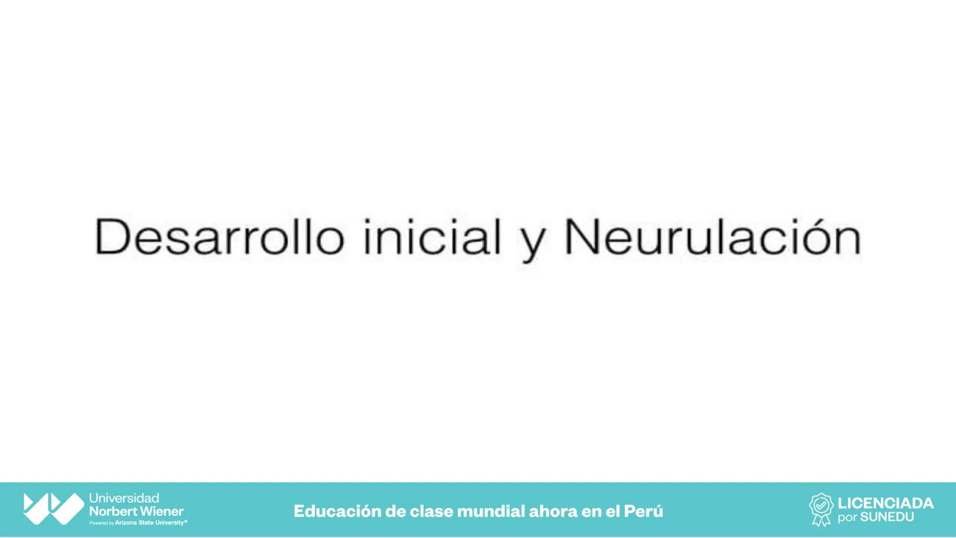 Universidad
Norbert Wiener
Powered by Arizona State University®
VERY GOOD
QS
¡Bienvenidos!
UNIDAD III - Fundamentos Integrados del Siste