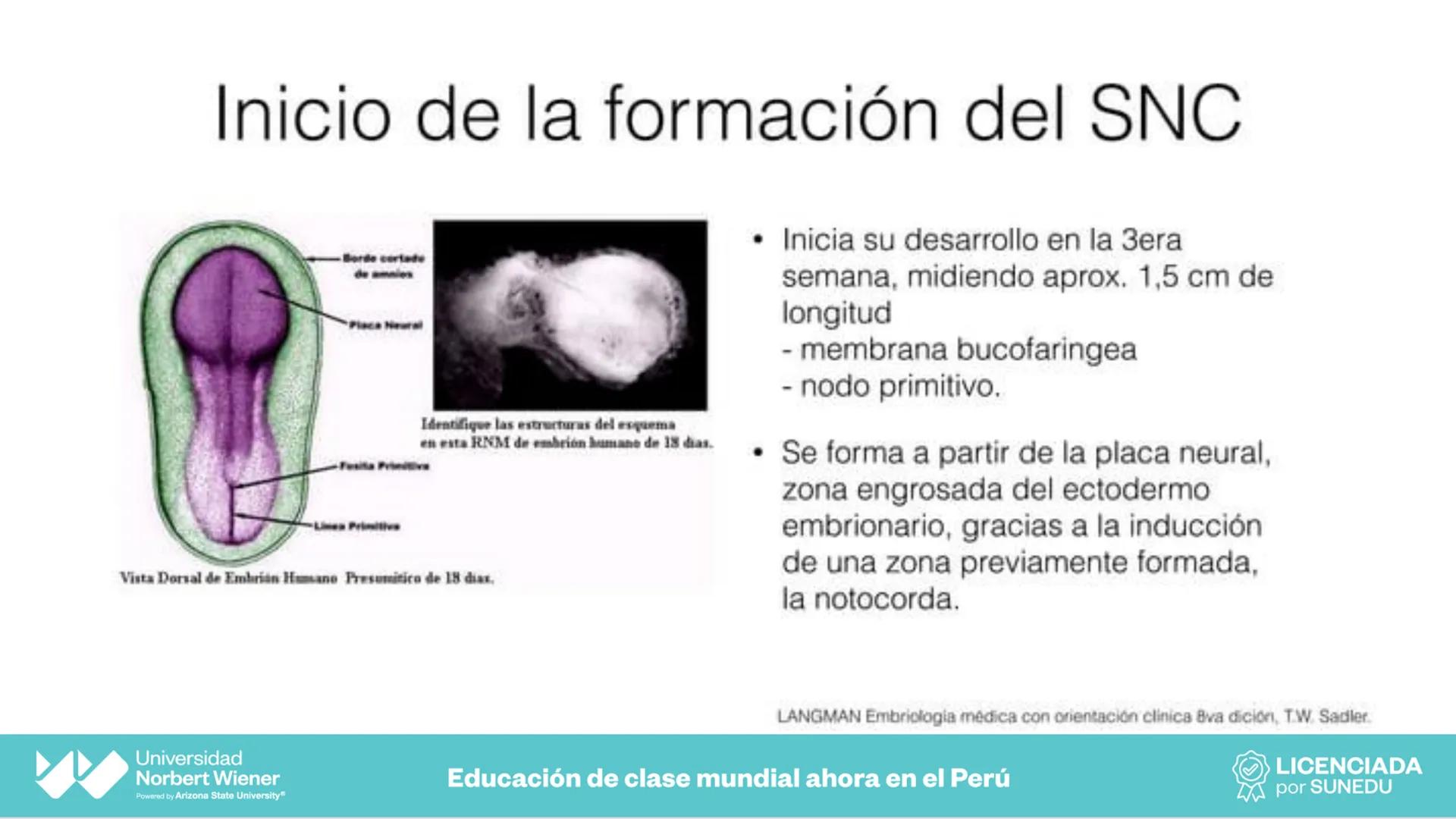 Universidad
Norbert Wiener
Powered by Arizona State University®
VERY GOOD
QS
¡Bienvenidos!
UNIDAD III - Fundamentos Integrados del Siste