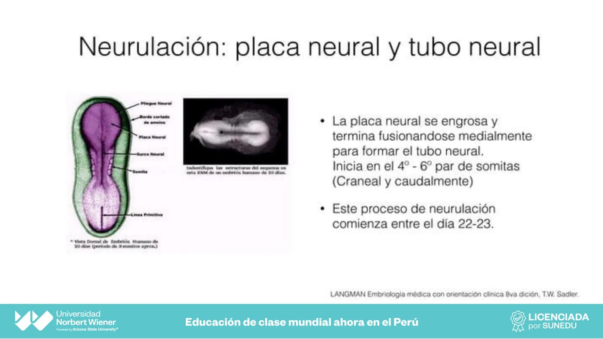 Universidad
Norbert Wiener
Powered by Arizona State University®
VERY GOOD
QS
¡Bienvenidos!
UNIDAD III - Fundamentos Integrados del Siste