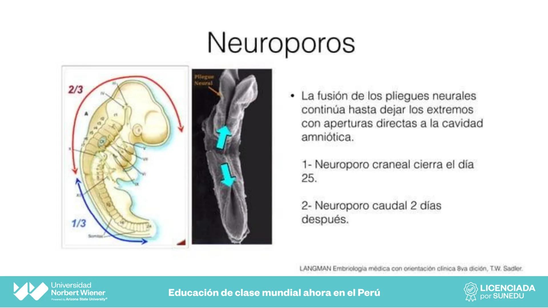 Universidad
Norbert Wiener
Powered by Arizona State University®
VERY GOOD
QS
¡Bienvenidos!
UNIDAD III - Fundamentos Integrados del Siste