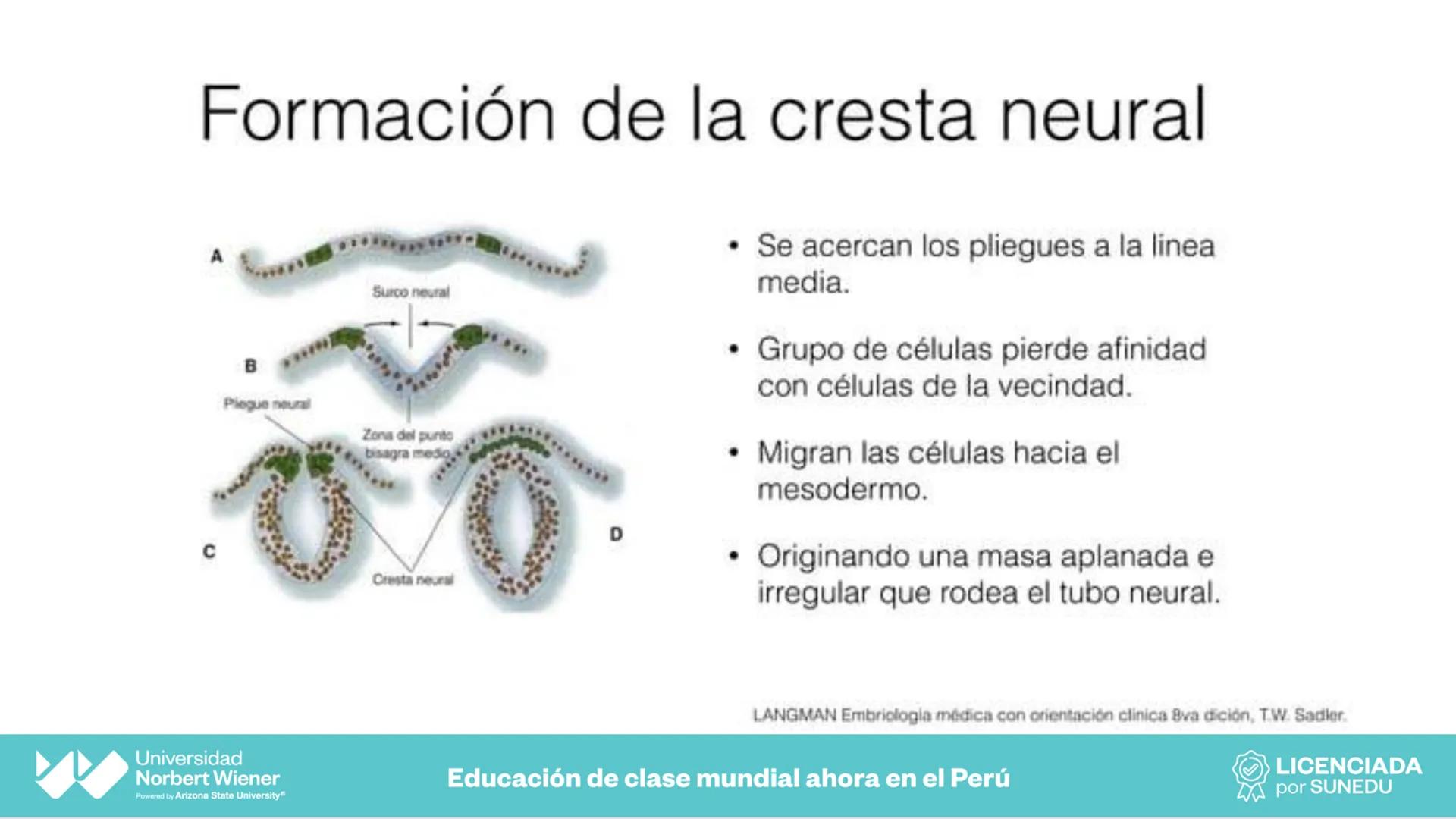 Universidad
Norbert Wiener
Powered by Arizona State University®
VERY GOOD
QS
¡Bienvenidos!
UNIDAD III - Fundamentos Integrados del Siste