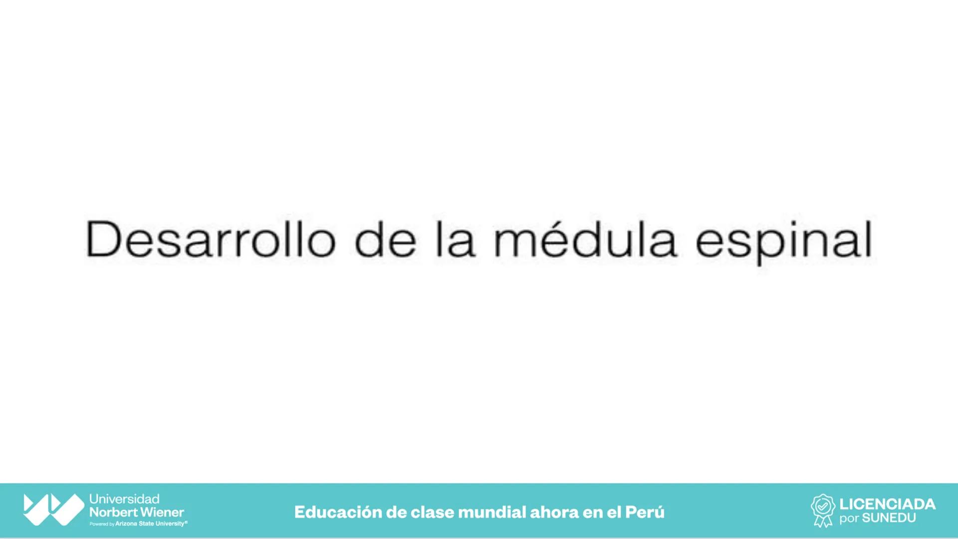 Universidad
Norbert Wiener
Powered by Arizona State University®
VERY GOOD
QS
¡Bienvenidos!
UNIDAD III - Fundamentos Integrados del Siste