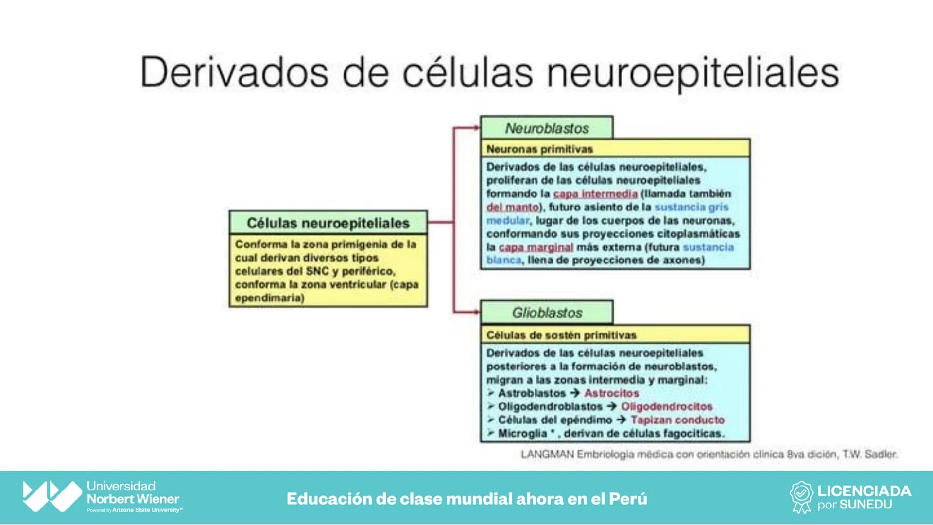 Universidad
Norbert Wiener
Powered by Arizona State University®
VERY GOOD
QS
¡Bienvenidos!
UNIDAD III - Fundamentos Integrados del Siste