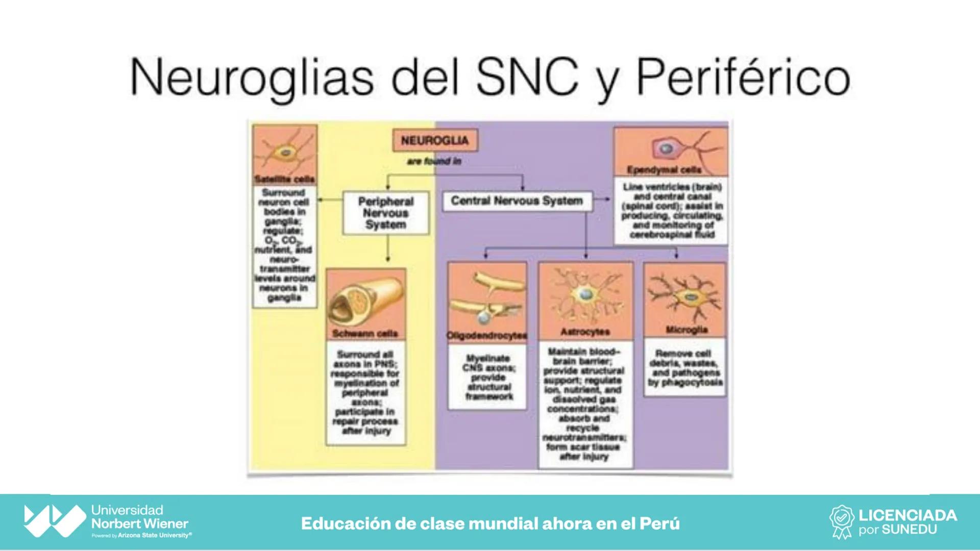 Universidad
Norbert Wiener
Powered by Arizona State University®
VERY GOOD
QS
¡Bienvenidos!
UNIDAD III - Fundamentos Integrados del Siste