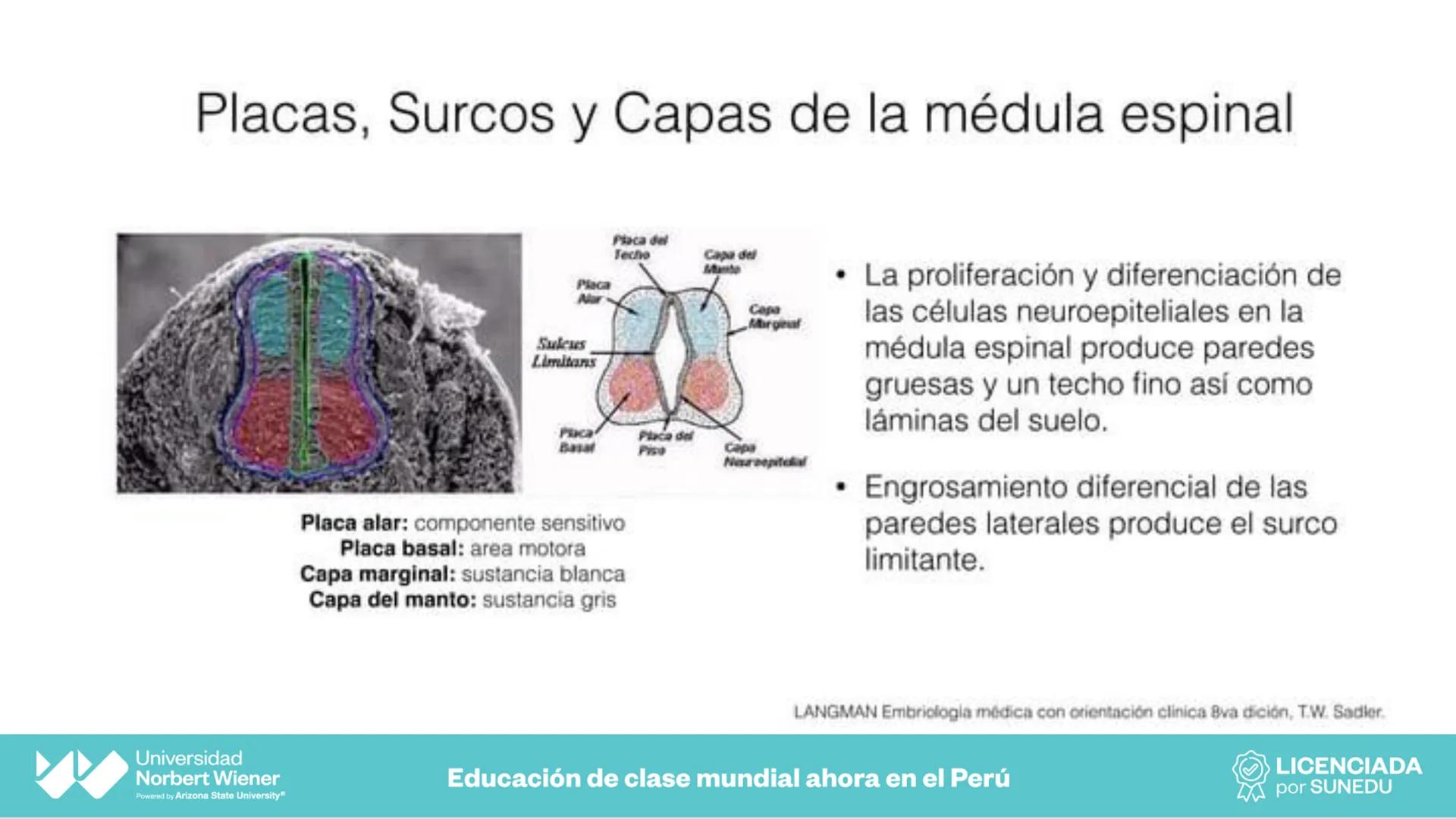 Universidad
Norbert Wiener
Powered by Arizona State University®
VERY GOOD
QS
¡Bienvenidos!
UNIDAD III - Fundamentos Integrados del Siste