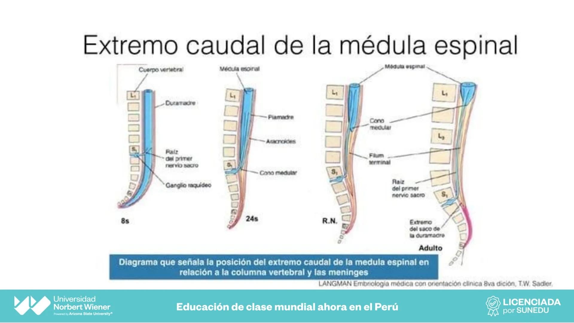 Universidad
Norbert Wiener
Powered by Arizona State University®
VERY GOOD
QS
¡Bienvenidos!
UNIDAD III - Fundamentos Integrados del Siste