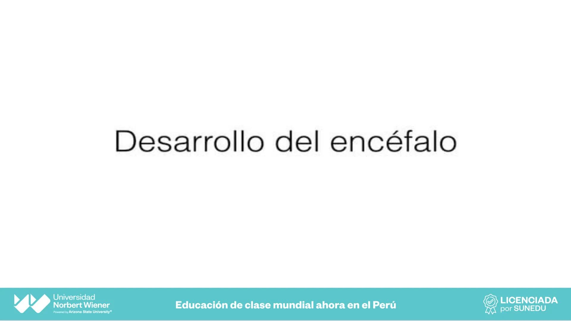 Universidad
Norbert Wiener
Powered by Arizona State University®
VERY GOOD
QS
¡Bienvenidos!
UNIDAD III - Fundamentos Integrados del Siste
