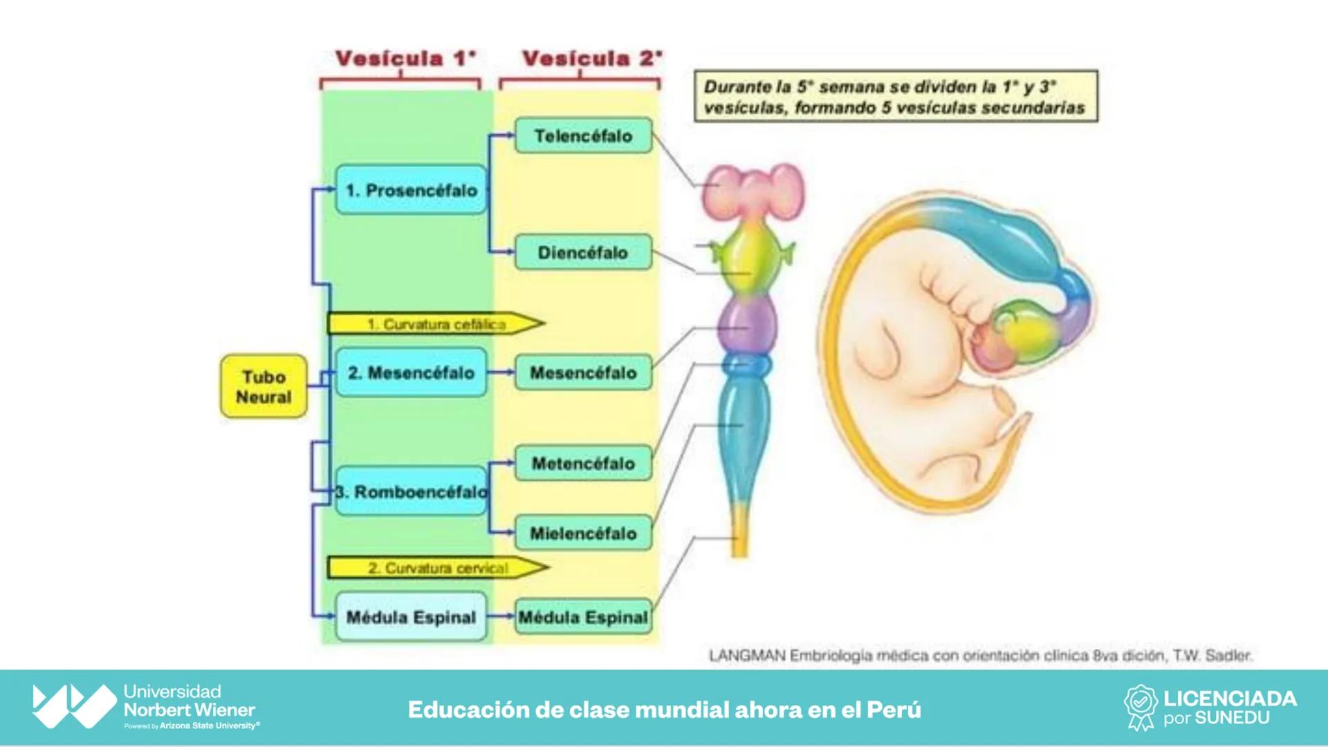 Universidad
Norbert Wiener
Powered by Arizona State University®
VERY GOOD
QS
¡Bienvenidos!
UNIDAD III - Fundamentos Integrados del Siste