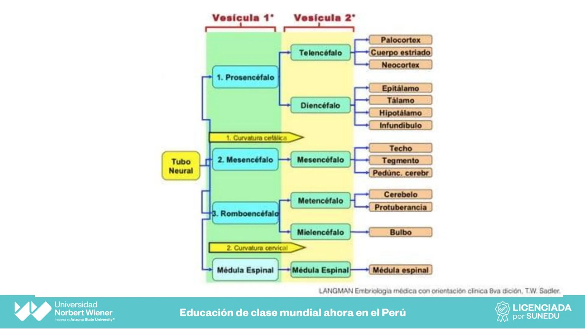 Universidad
Norbert Wiener
Powered by Arizona State University®
VERY GOOD
QS
¡Bienvenidos!
UNIDAD III - Fundamentos Integrados del Siste