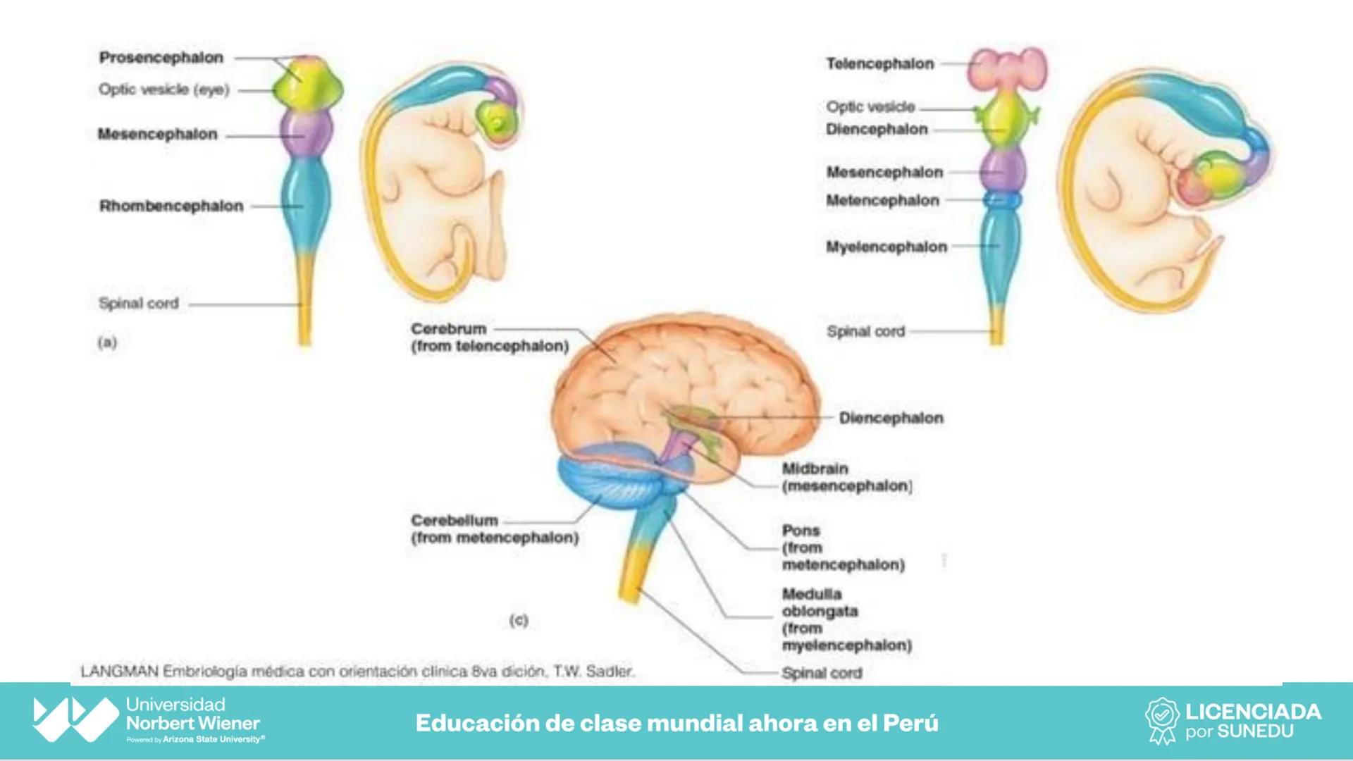 Universidad
Norbert Wiener
Powered by Arizona State University®
VERY GOOD
QS
¡Bienvenidos!
UNIDAD III - Fundamentos Integrados del Siste