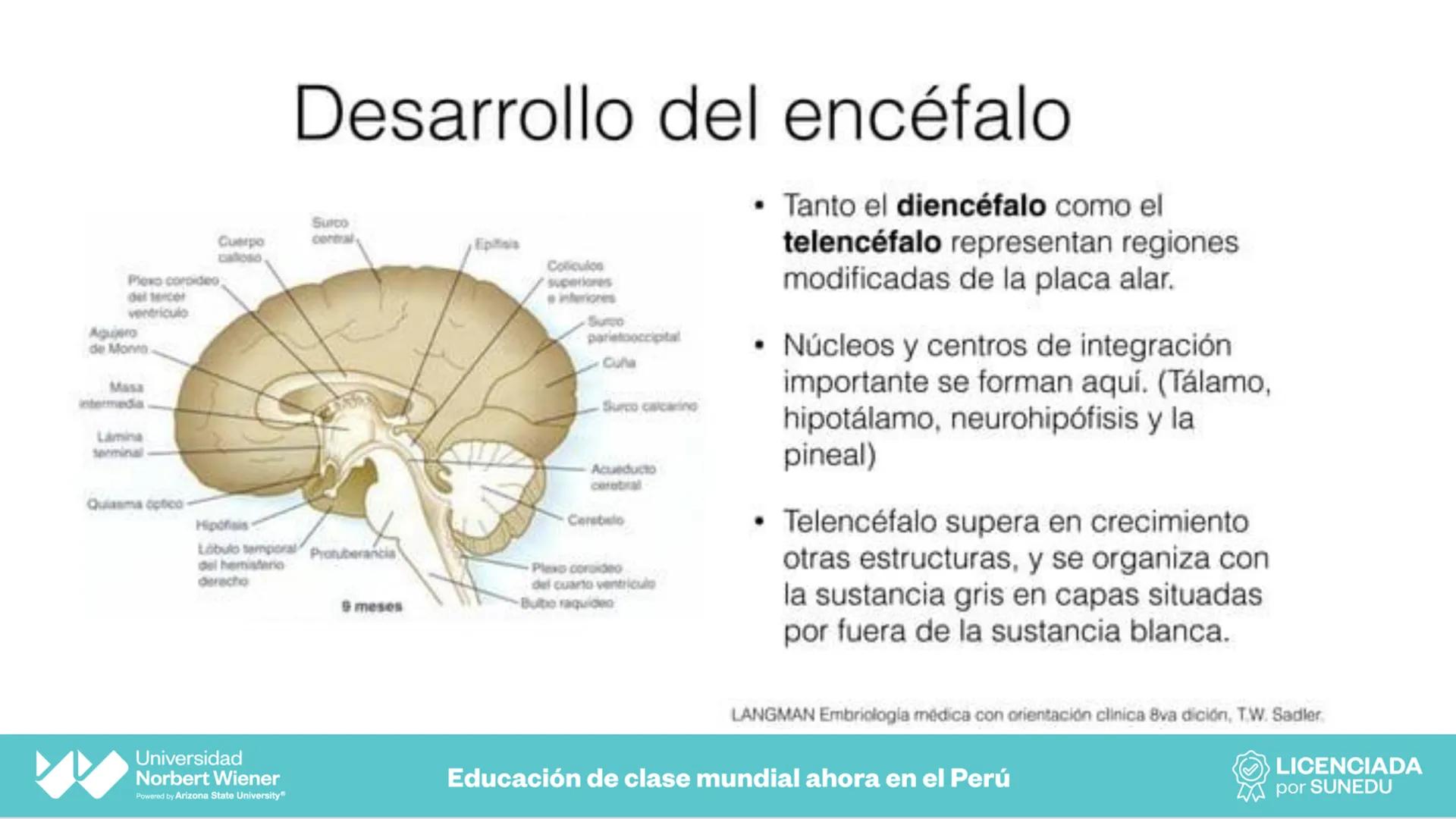 Universidad
Norbert Wiener
Powered by Arizona State University®
VERY GOOD
QS
¡Bienvenidos!
UNIDAD III - Fundamentos Integrados del Siste