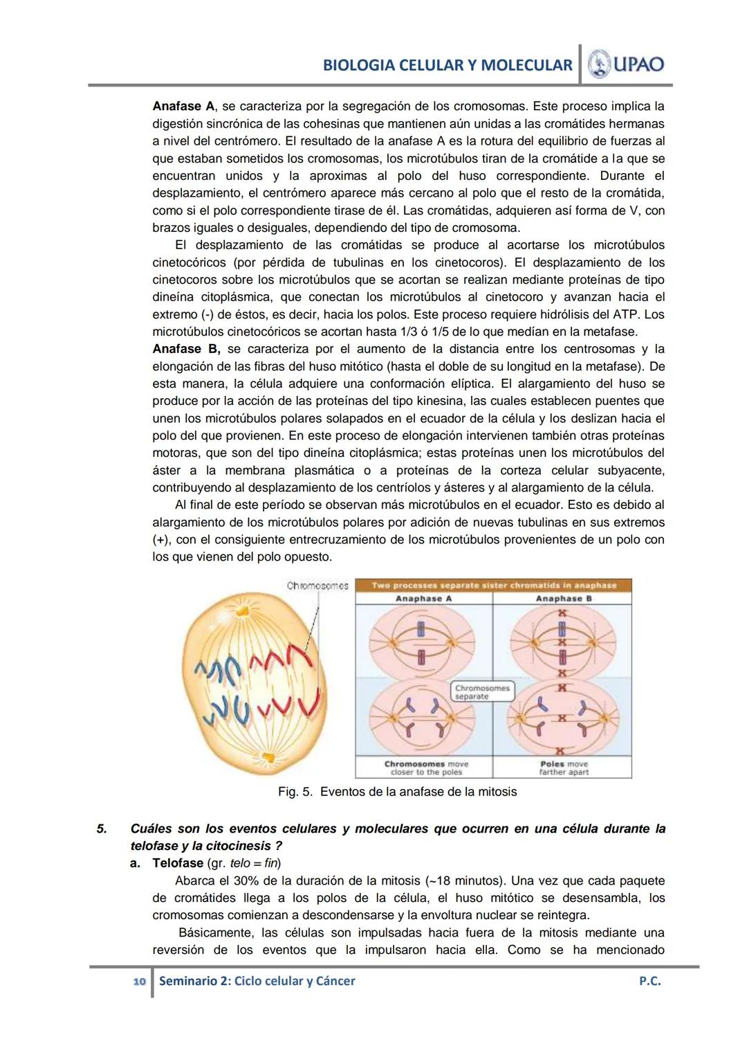 BIOLOGIA CELULAR Y MOLECULAR UPAO
UNIVERSIDAD PRIVADA ANTENOR ORREGO
UPAO DEPARTAMENTO ACADÉMICO DE CIENCIAS
# BIOLOGÍA CELULAR Y MOLECULAR