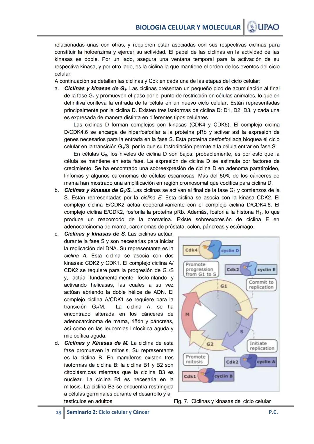 BIOLOGIA CELULAR Y MOLECULAR UPAO
UNIVERSIDAD PRIVADA ANTENOR ORREGO
UPAO DEPARTAMENTO ACADÉMICO DE CIENCIAS
# BIOLOGÍA CELULAR Y MOLECULAR