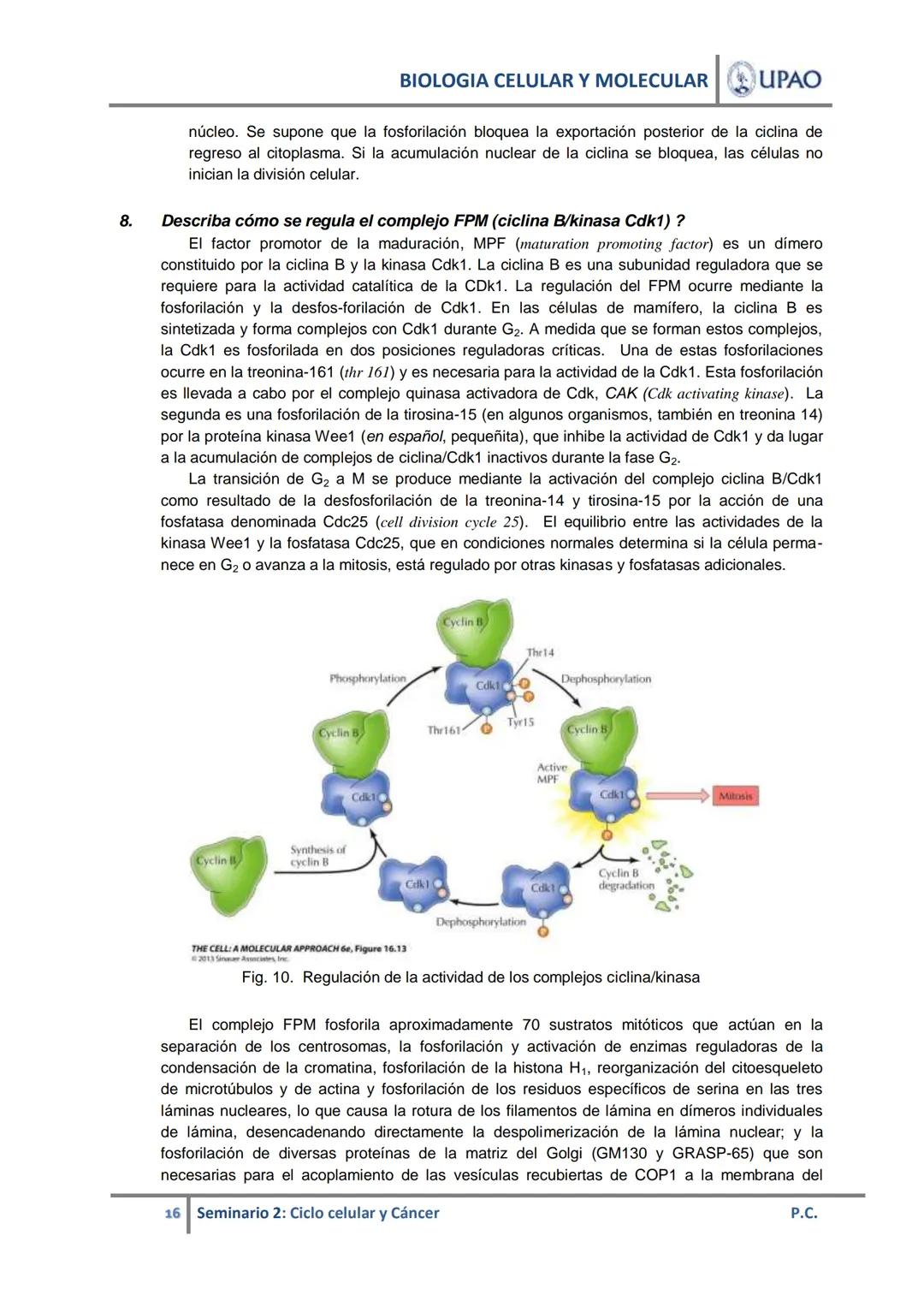 BIOLOGIA CELULAR Y MOLECULAR UPAO
UNIVERSIDAD PRIVADA ANTENOR ORREGO
UPAO DEPARTAMENTO ACADÉMICO DE CIENCIAS
# BIOLOGÍA CELULAR Y MOLECULAR