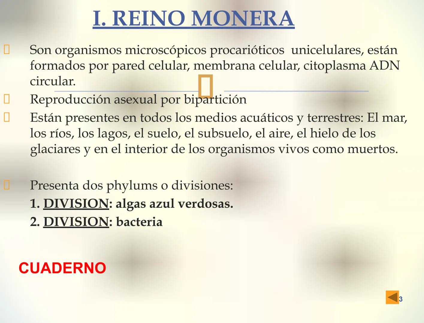 1S
TRIMESTRE III
TAXONOMÍA I
Hongos
Plantas
Algas verdes
Animales
Mastigóforos
Algas
pardas
Algas
rojas
Dinoflagelados
Euglenoides
Rízópodos