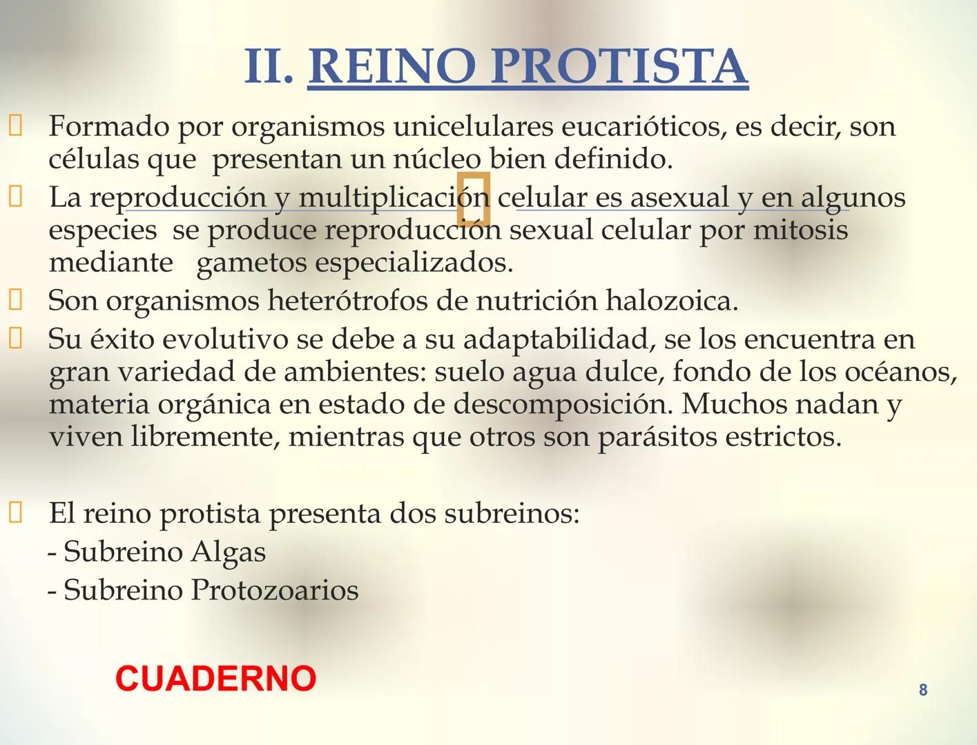 1S
TRIMESTRE III
TAXONOMÍA I
Hongos
Plantas
Algas verdes
Animales
Mastigóforos
Algas
pardas
Algas
rojas
Dinoflagelados
Euglenoides
Rízópodos