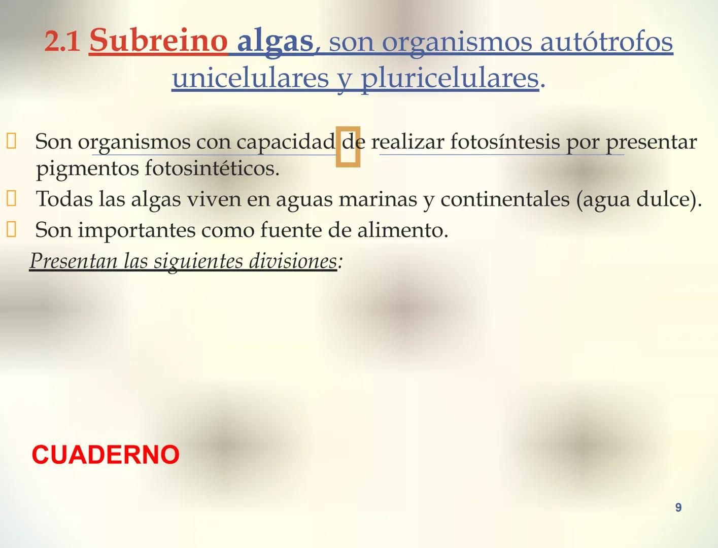 1S
TRIMESTRE III
TAXONOMÍA I
Hongos
Plantas
Algas verdes
Animales
Mastigóforos
Algas
pardas
Algas
rojas
Dinoflagelados
Euglenoides
Rízópodos