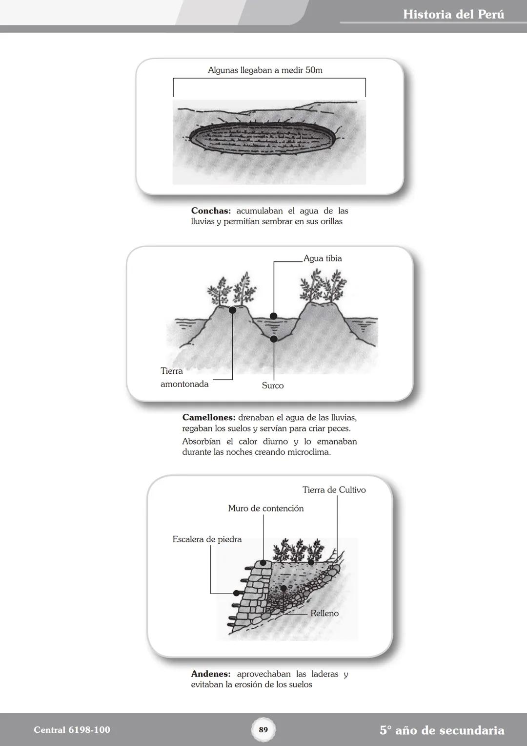 Colegios
# TRILCE
5.º San Marcos
Historia del Perú # Índice
I Bimestre
Capítulo 1
Primeros Pobladores Americanos
5
Capítulo 2
Poblamient