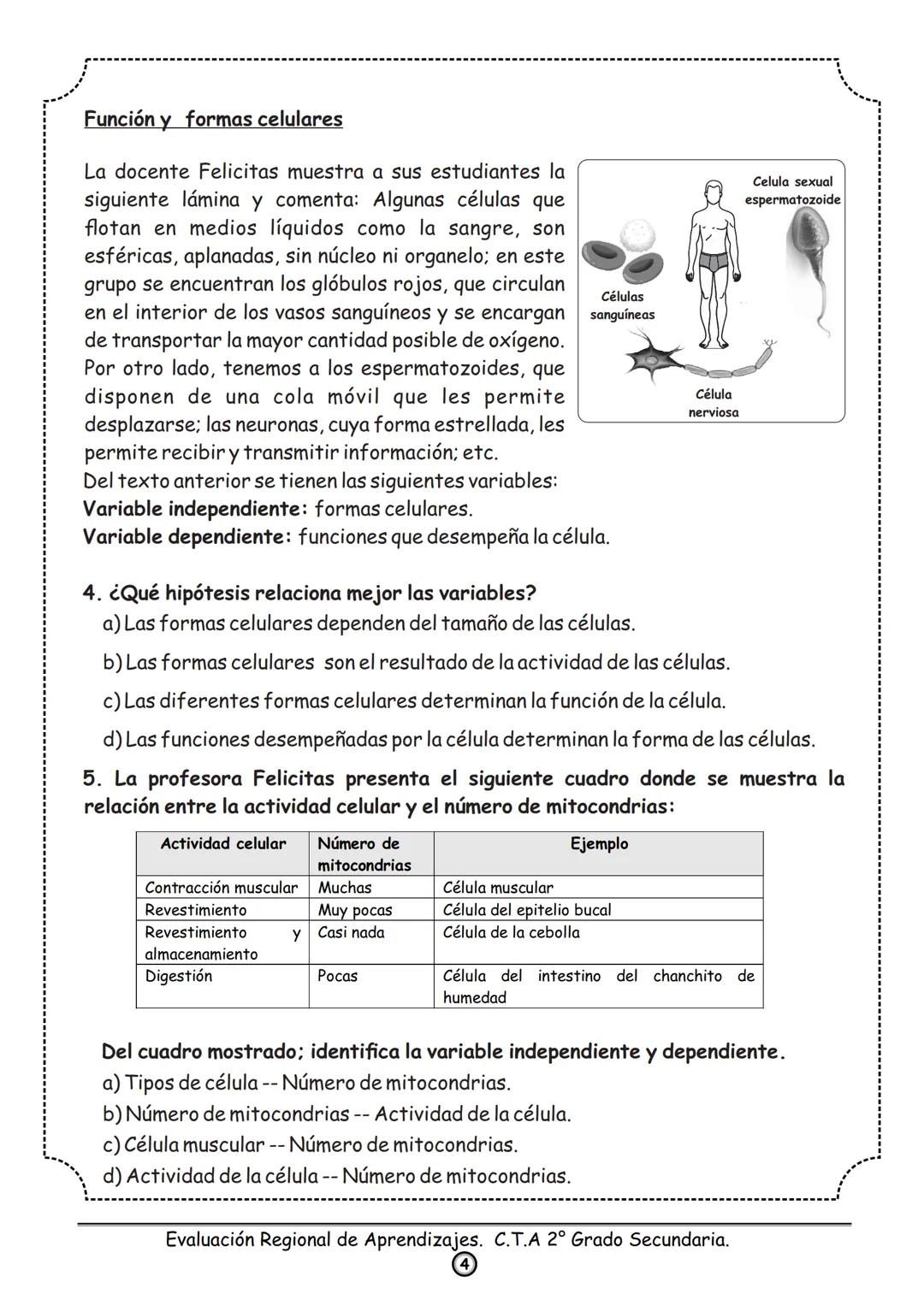 GOBIERNO REGIONAL
APURIMAC
Dirección Regional de Educación Apurimac
Dirección de Gestión Pedagógica
DREA
Evaluación Regional de Aprendizajes