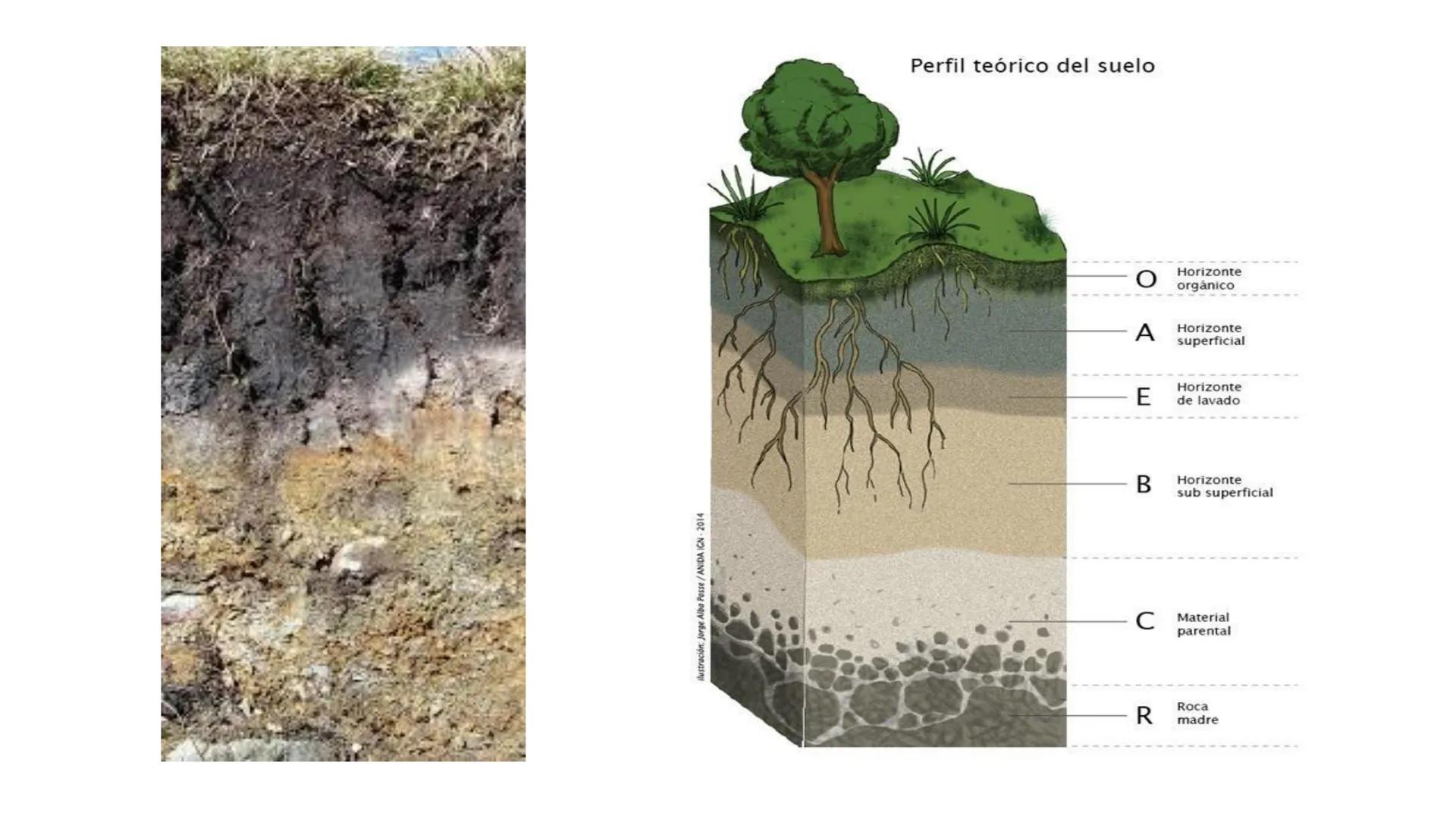 UNIVERSIDAD NACIONAL, AUTÓNOMA DE TAYACAJA
DANIEL HERNÁNDEZ MORILLO
UNAT
UNIVERSIDAD NACIONAL AUTÓNOMA DE TAYACAJA
DANIEL HERNÁNDEZ MORI