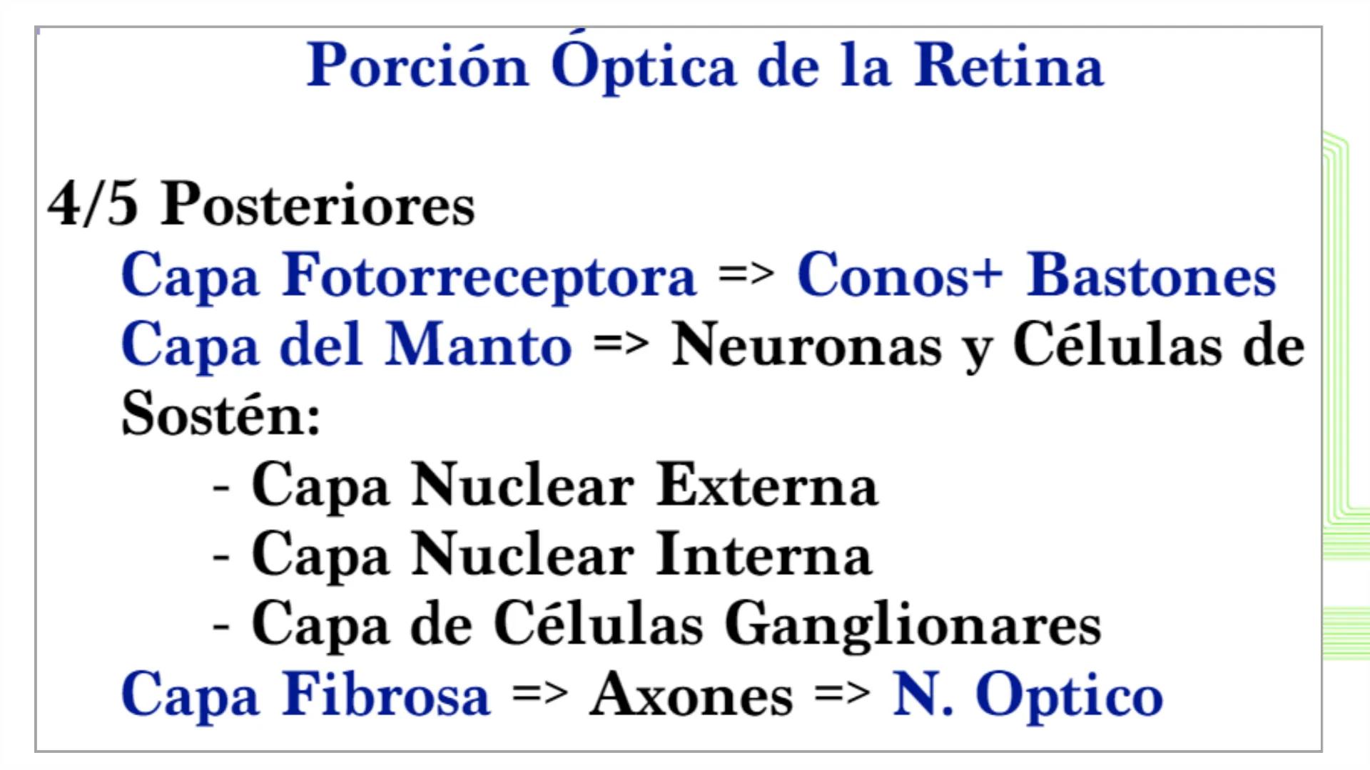 TRANSFORMA TU MUNDO EN
LA U MÁS TOP DE LA REGIÓN. @ussipan
USS
Universidad
Señor de Sipán クク
Universidad
Señor de Sipán
TEMA N° 08
EMBRIO