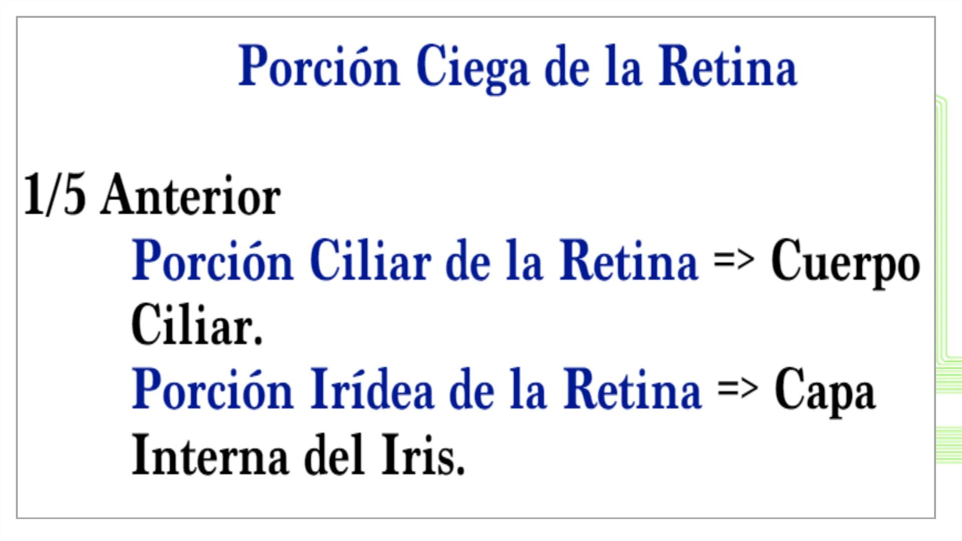 TRANSFORMA TU MUNDO EN
LA U MÁS TOP DE LA REGIÓN. @ussipan
USS
Universidad
Señor de Sipán クク
Universidad
Señor de Sipán
TEMA N° 08
EMBRIO