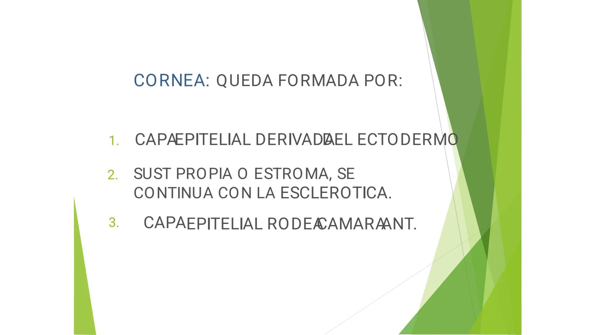 TRANSFORMA TU MUNDO EN
LA U MÁS TOP DE LA REGIÓN. @ussipan
USS
Universidad
Señor de Sipán クク
Universidad
Señor de Sipán
TEMA N° 08
EMBRIO