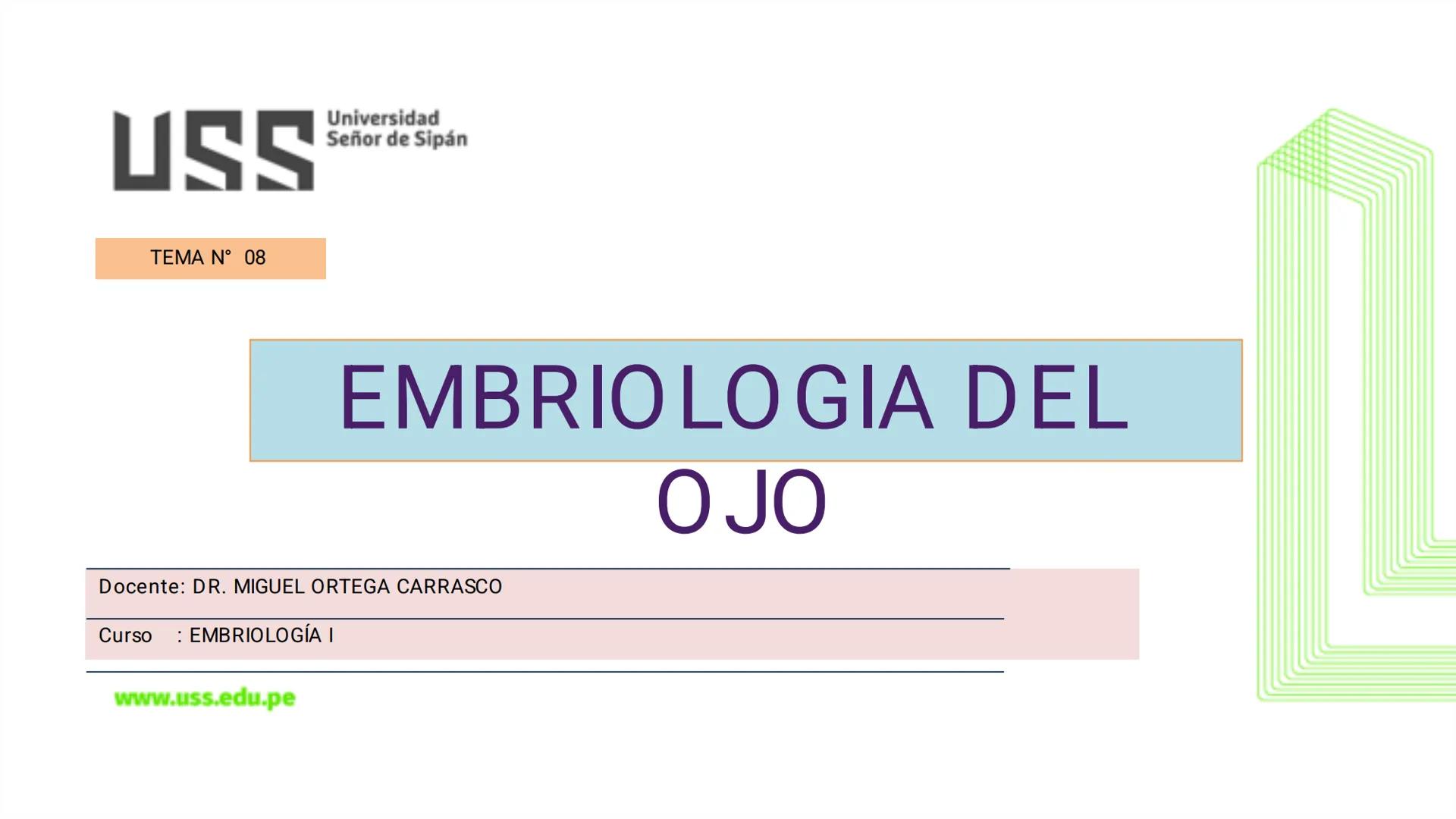 TRANSFORMA TU MUNDO EN
LA U MÁS TOP DE LA REGIÓN. @ussipan
USS
Universidad
Señor de Sipán クク
Universidad
Señor de Sipán
TEMA N° 08
EMBRIO