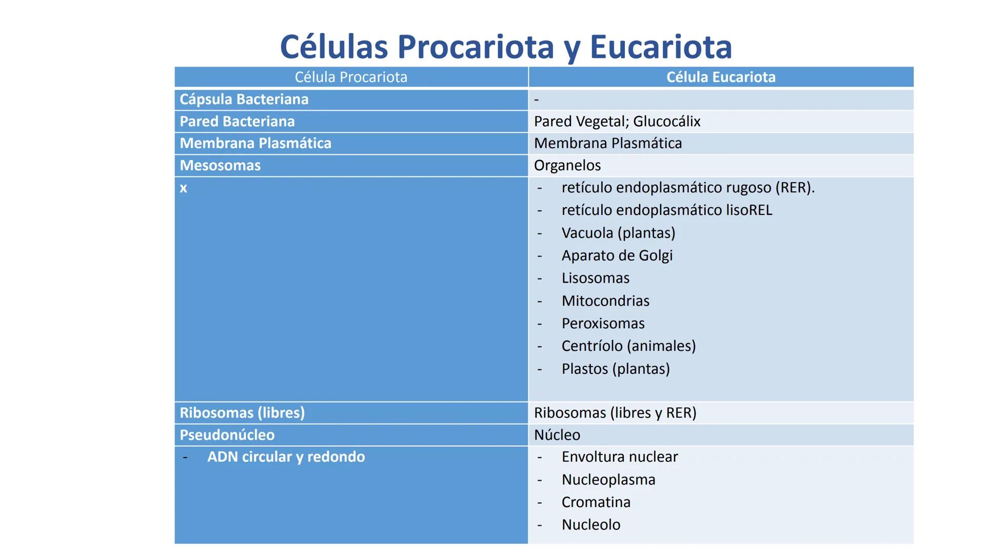 # CITOLOGÍA # Teoría celular
Hace aproximadamente 300 años, los científicos europeos comenzaron a
desarrollar los microscopios, que fueron