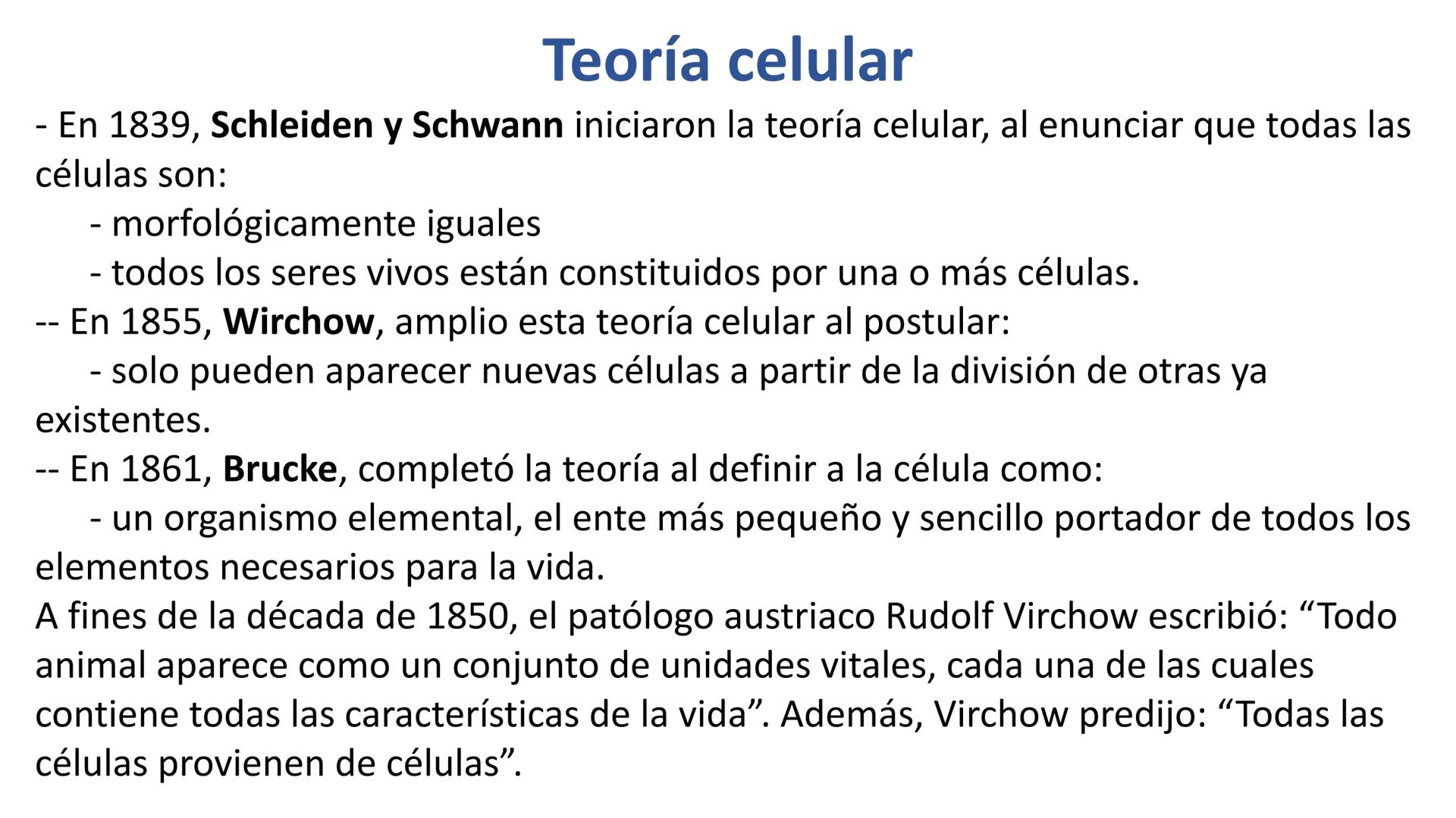 # CITOLOGÍA # Teoría celular
Hace aproximadamente 300 años, los científicos europeos comenzaron a
desarrollar los microscopios, que fueron