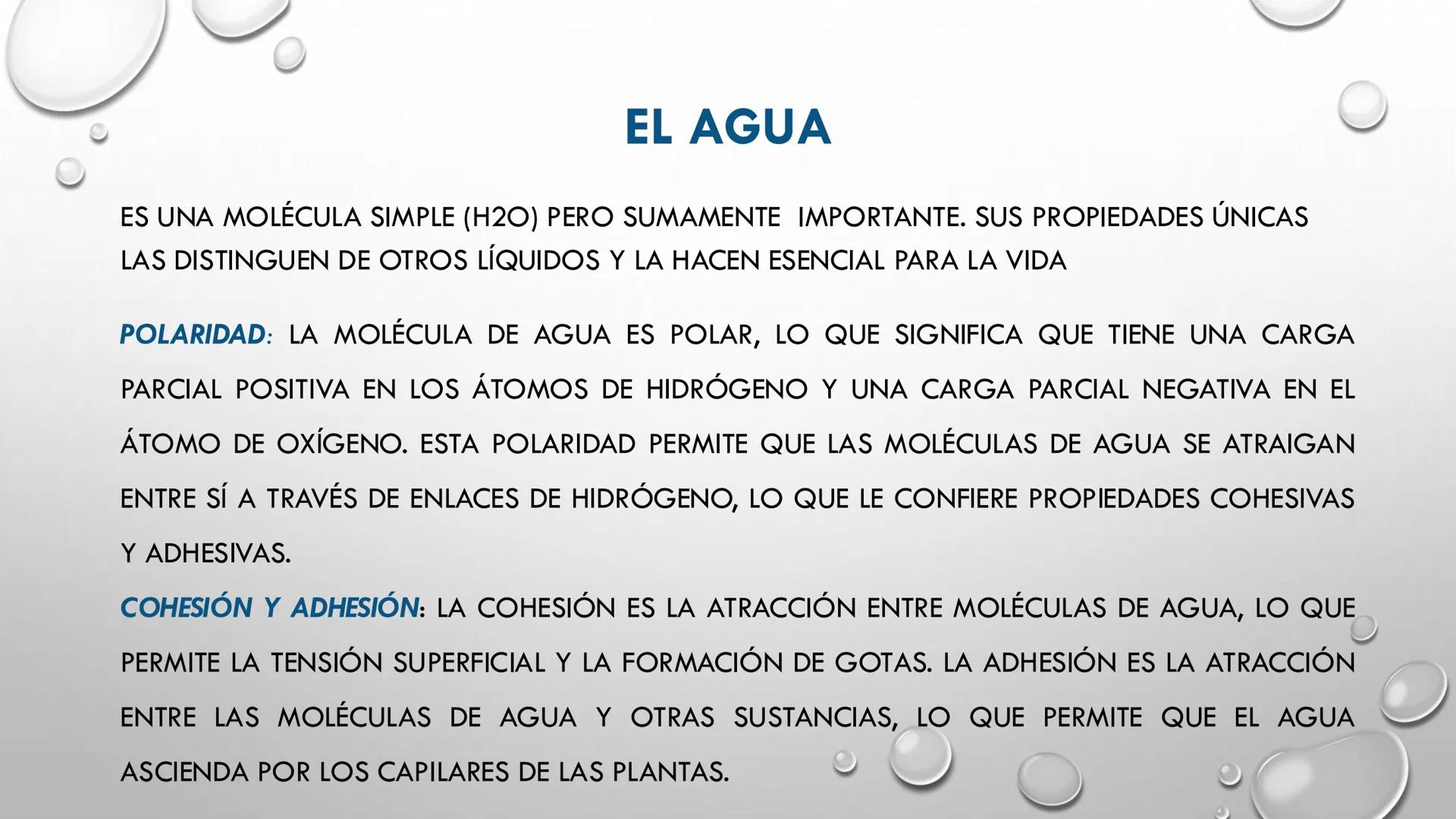 # EL AGUA
MAG. TANIA MOSQUEIRA VILLALBA # EL AGUA
ES UNA MOLÉCULA SIMPLE (H2O) PERO SUMAMENTE IMPORTANTE. SUS PROPIEDADES ÚNICAS
LAS DISTI