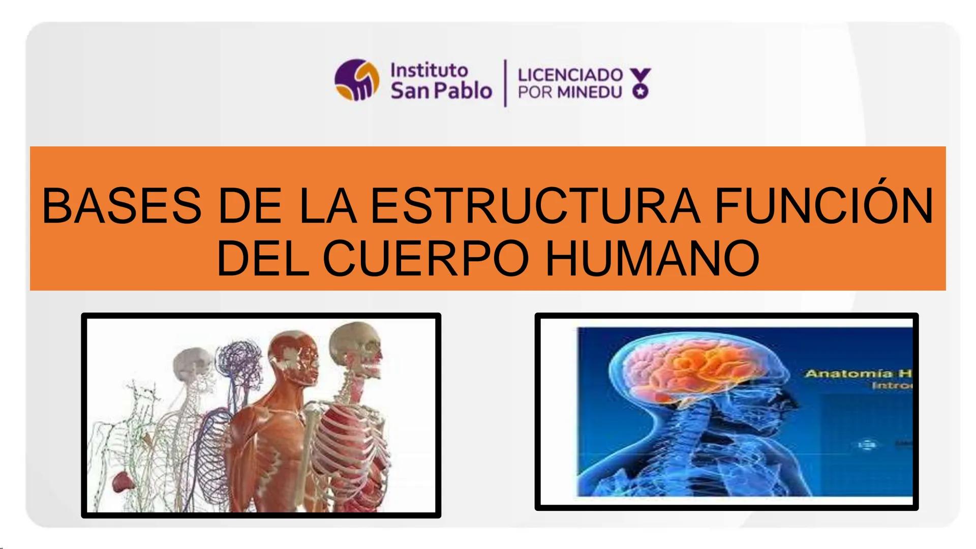 Instituto
San Pablo
LICENCIADO
POR MINEDU
BASES DE LA ESTRUCTURA FUNCIÓN
DEL CUERPO HUMANO
Anatomia H
Introi # SISTEMA CIRCULATORIO Y GRAN