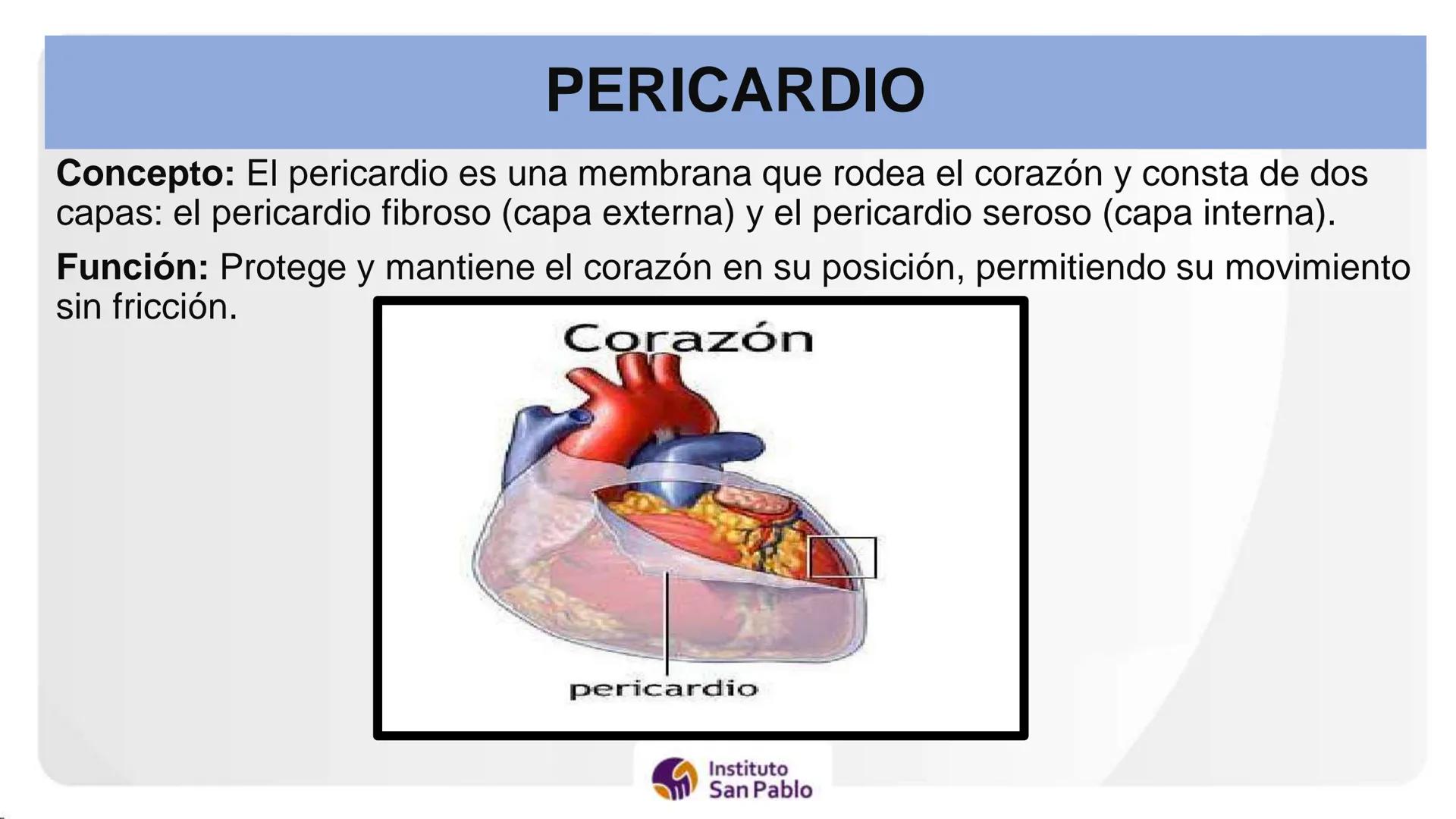 Instituto
San Pablo
LICENCIADO
POR MINEDU
BASES DE LA ESTRUCTURA FUNCIÓN
DEL CUERPO HUMANO
Anatomia H
Introi # SISTEMA CIRCULATORIO Y GRAN