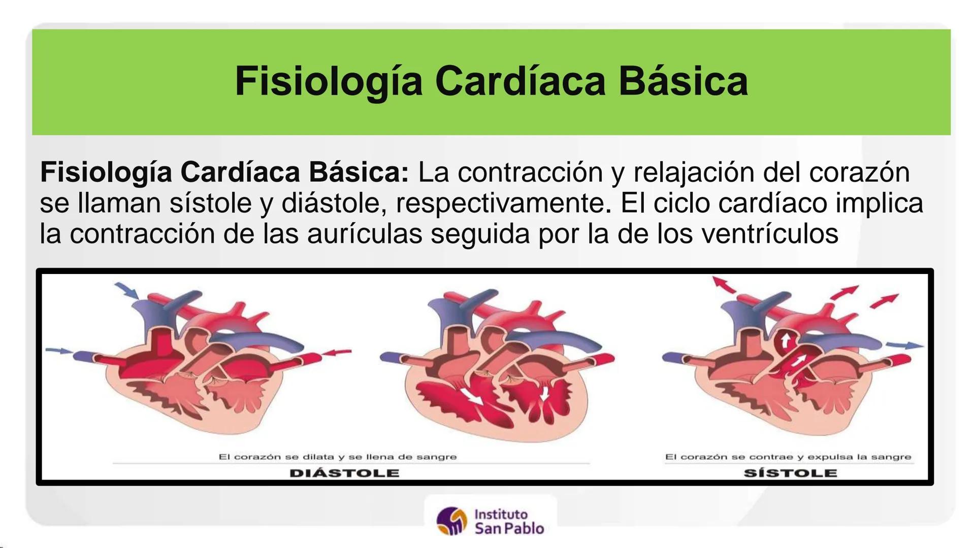 Instituto
San Pablo
LICENCIADO
POR MINEDU
BASES DE LA ESTRUCTURA FUNCIÓN
DEL CUERPO HUMANO
Anatomia H
Introi # SISTEMA CIRCULATORIO Y GRAN
