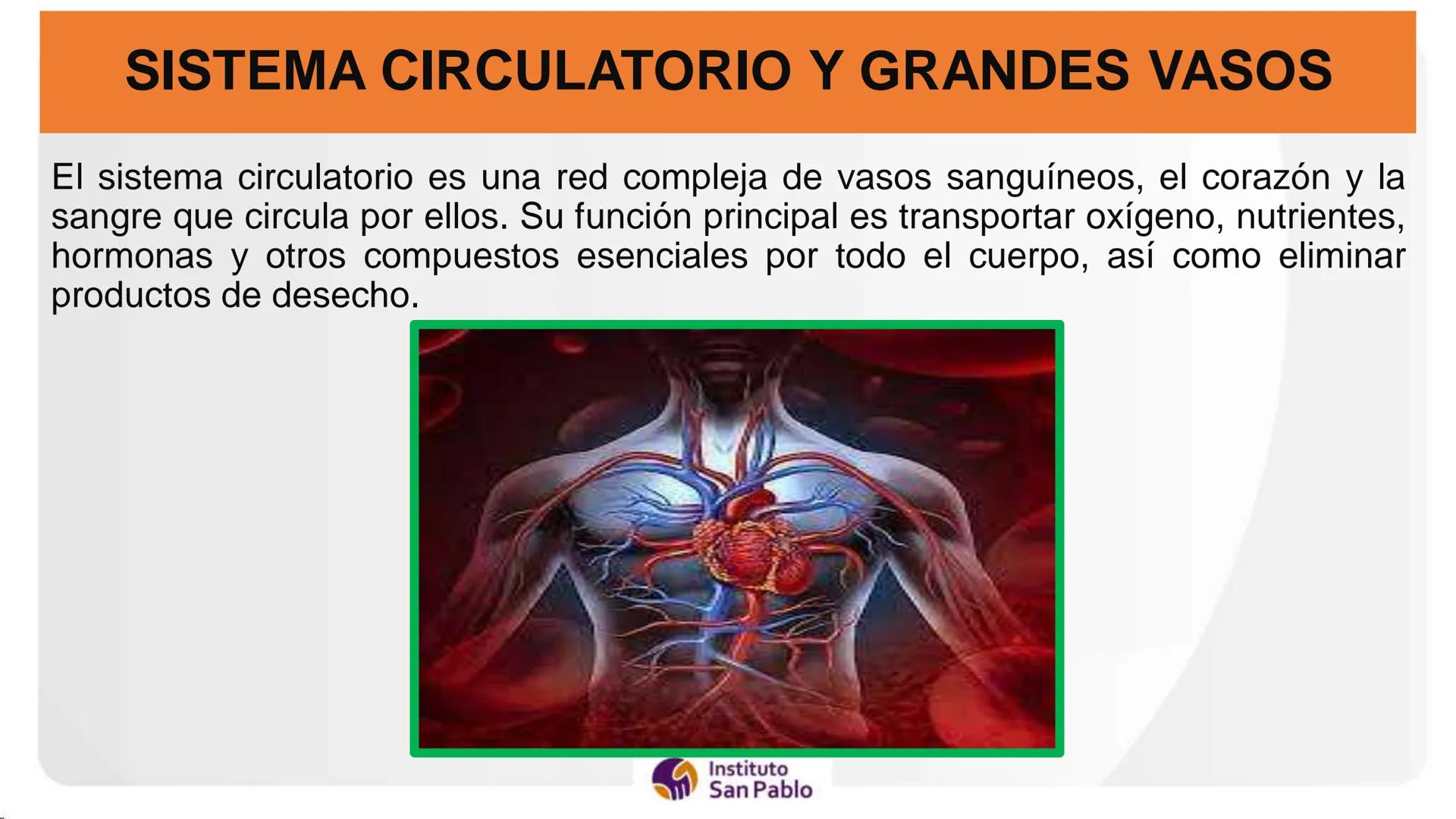 Instituto
San Pablo
LICENCIADO
POR MINEDU
BASES DE LA ESTRUCTURA FUNCIÓN
DEL CUERPO HUMANO
Anatomia H
Introi # SISTEMA CIRCULATORIO Y GRAN