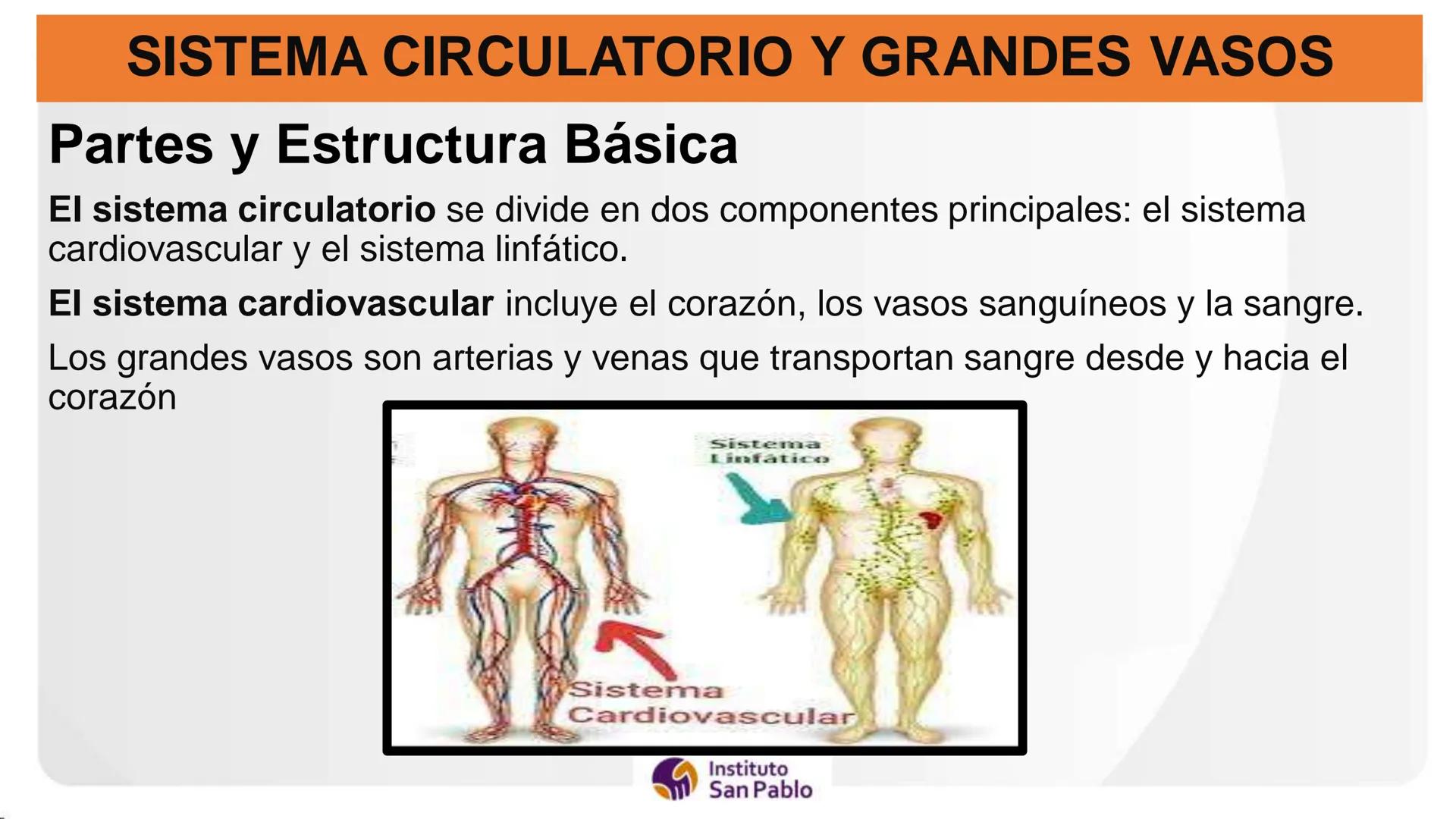Instituto
San Pablo
LICENCIADO
POR MINEDU
BASES DE LA ESTRUCTURA FUNCIÓN
DEL CUERPO HUMANO
Anatomia H
Introi # SISTEMA CIRCULATORIO Y GRAN