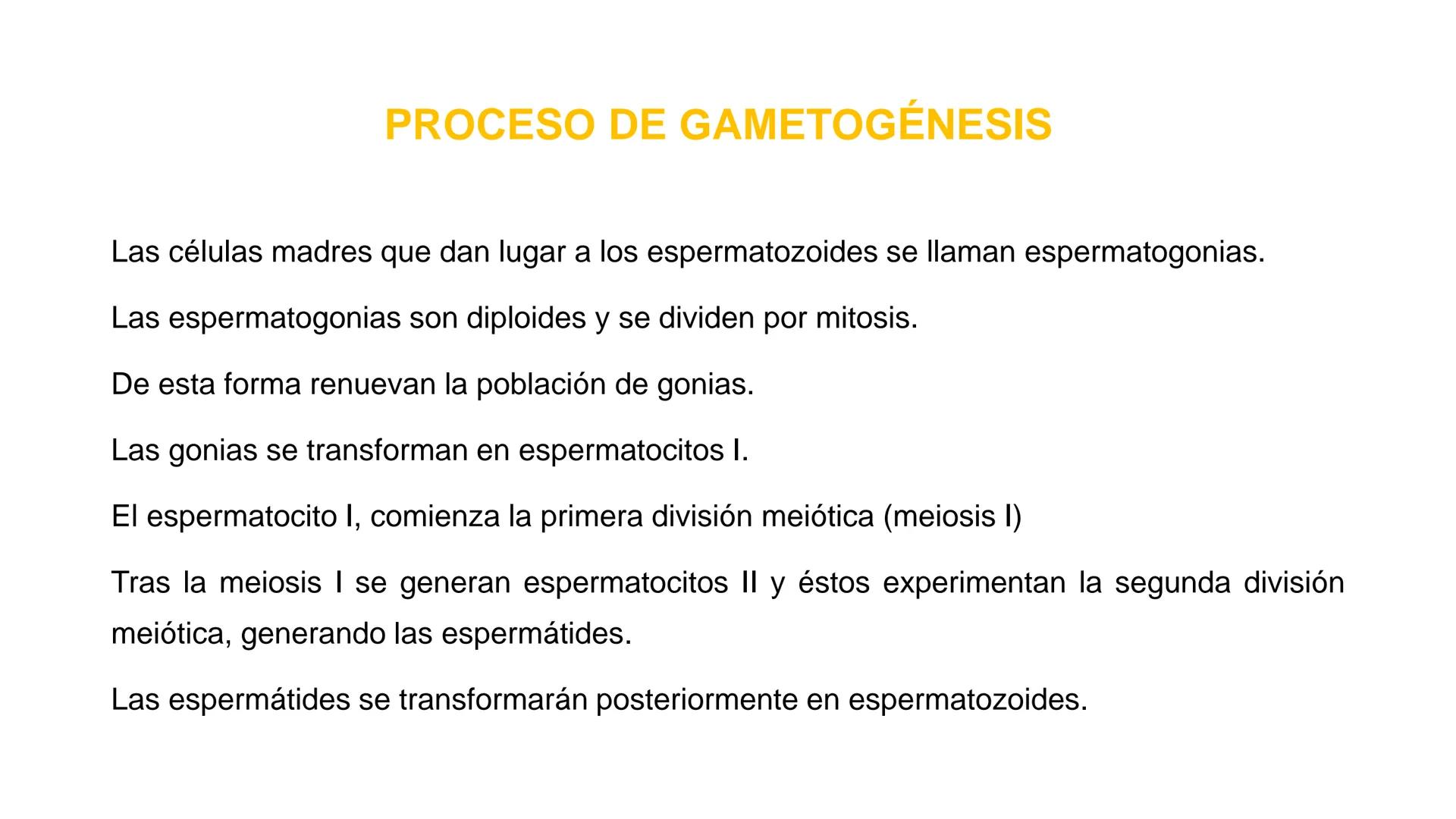 Nucleolus
Chromatin
BIOLOGIA CELULAR Y MOLECULAR
THE NUCLEUS
Nuclear envelope
Nuclear pore
DOCENTE: MAYRA PEREDA RUIZ
BIOLOGO MICROBIO