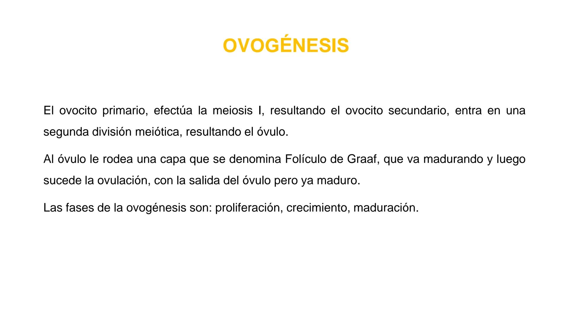 Nucleolus
Chromatin
BIOLOGIA CELULAR Y MOLECULAR
THE NUCLEUS
Nuclear envelope
Nuclear pore
DOCENTE: MAYRA PEREDA RUIZ
BIOLOGO MICROBIO