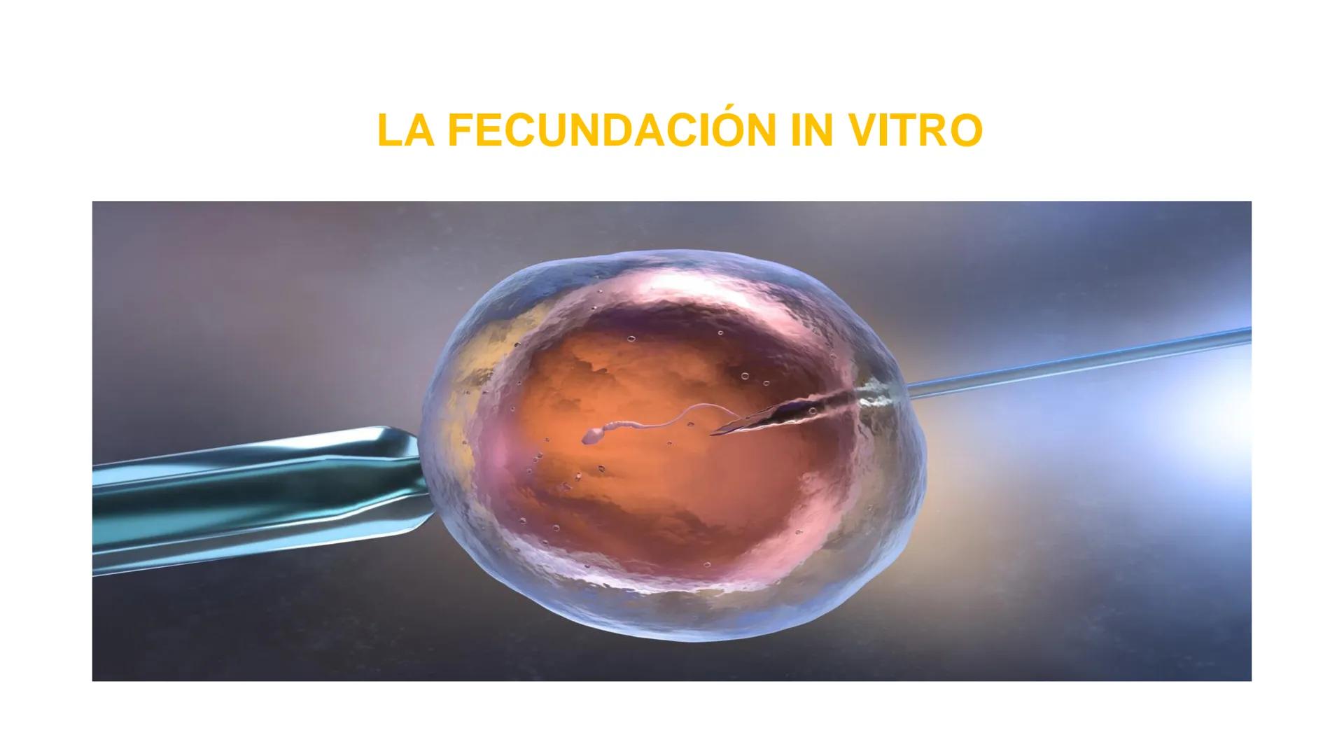Nucleolus
Chromatin
BIOLOGIA CELULAR Y MOLECULAR
THE NUCLEUS
Nuclear envelope
Nuclear pore
DOCENTE: MAYRA PEREDA RUIZ
BIOLOGO MICROBIO