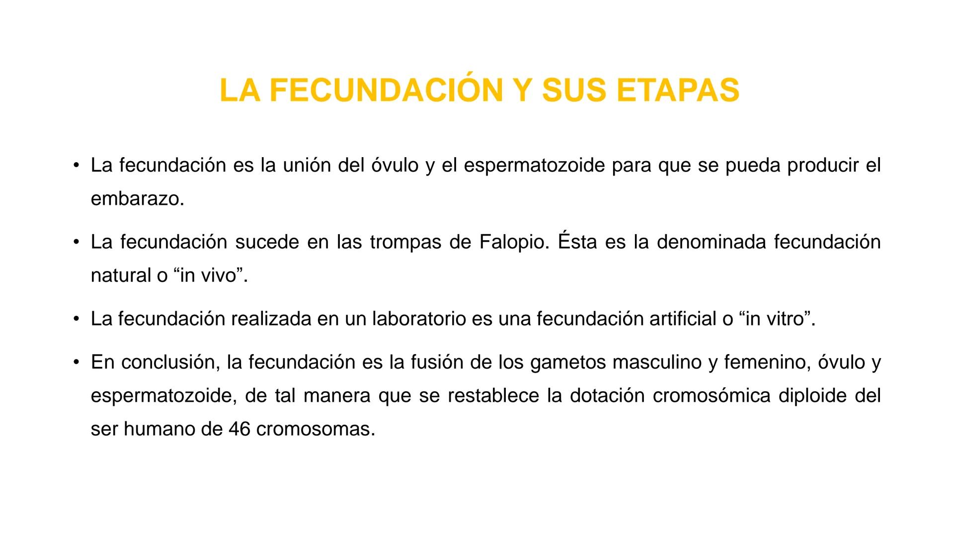 Nucleolus
Chromatin
BIOLOGIA CELULAR Y MOLECULAR
THE NUCLEUS
Nuclear envelope
Nuclear pore
DOCENTE: MAYRA PEREDA RUIZ
BIOLOGO MICROBIO