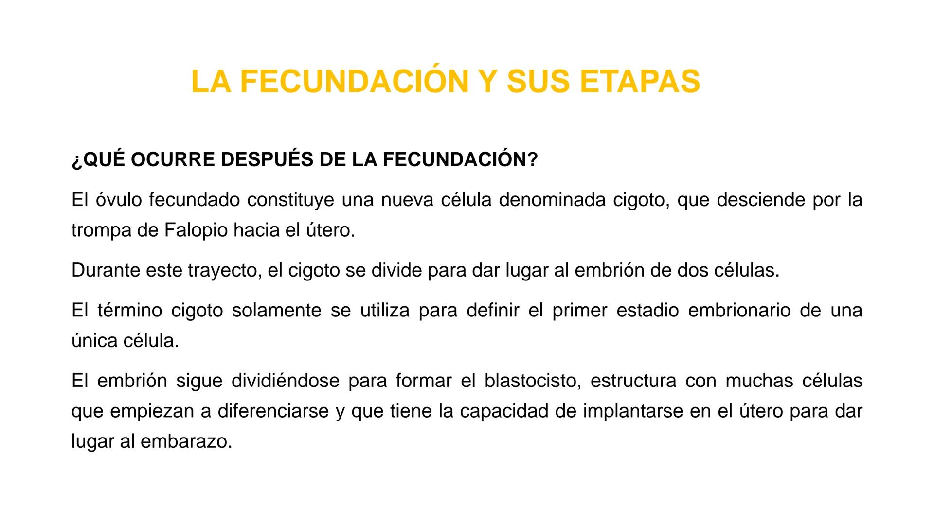 Nucleolus
Chromatin
BIOLOGIA CELULAR Y MOLECULAR
THE NUCLEUS
Nuclear envelope
Nuclear pore
DOCENTE: MAYRA PEREDA RUIZ
BIOLOGO MICROBIO