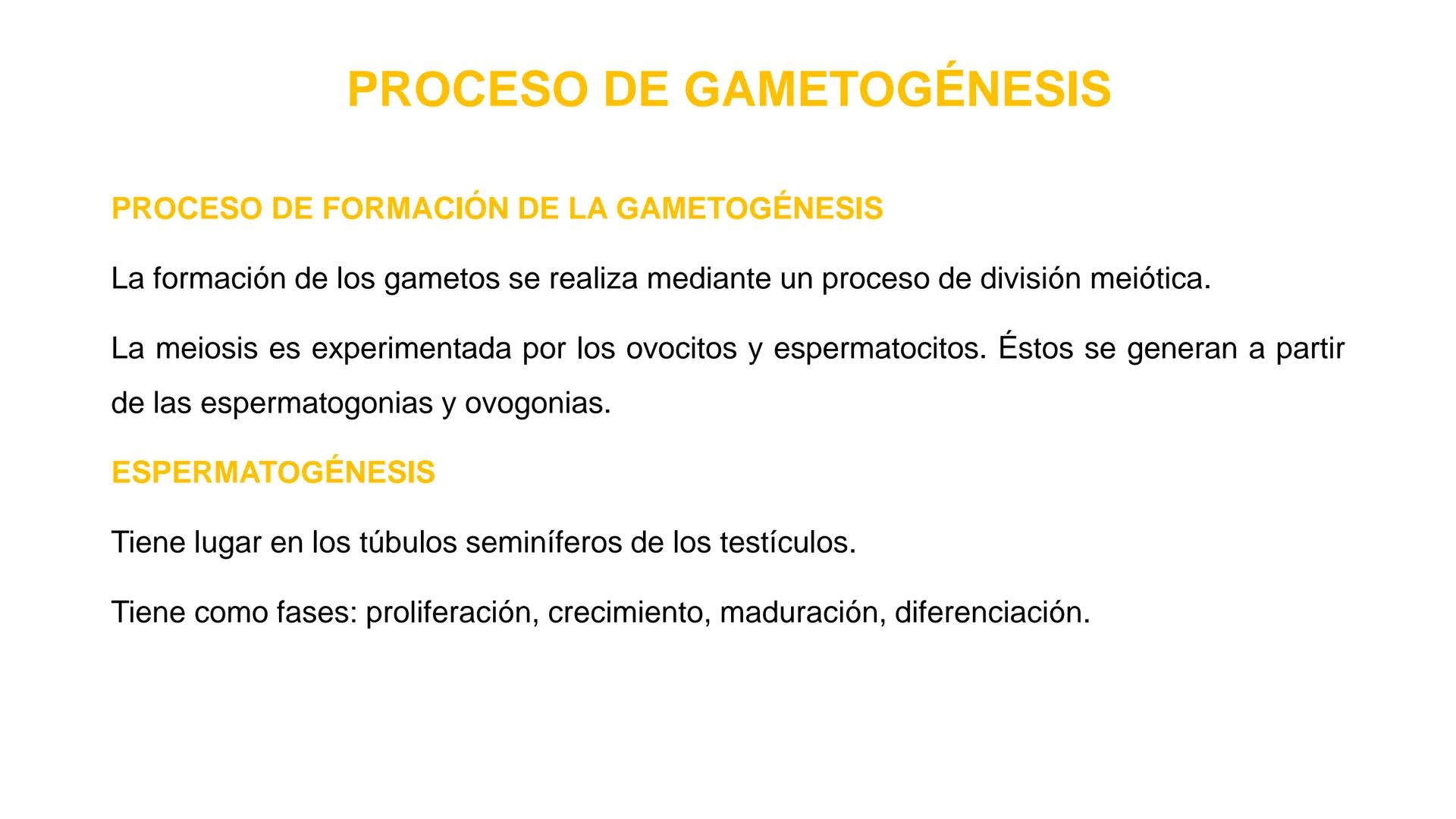 Nucleolus
Chromatin
BIOLOGIA CELULAR Y MOLECULAR
THE NUCLEUS
Nuclear envelope
Nuclear pore
DOCENTE: MAYRA PEREDA RUIZ
BIOLOGO MICROBIO