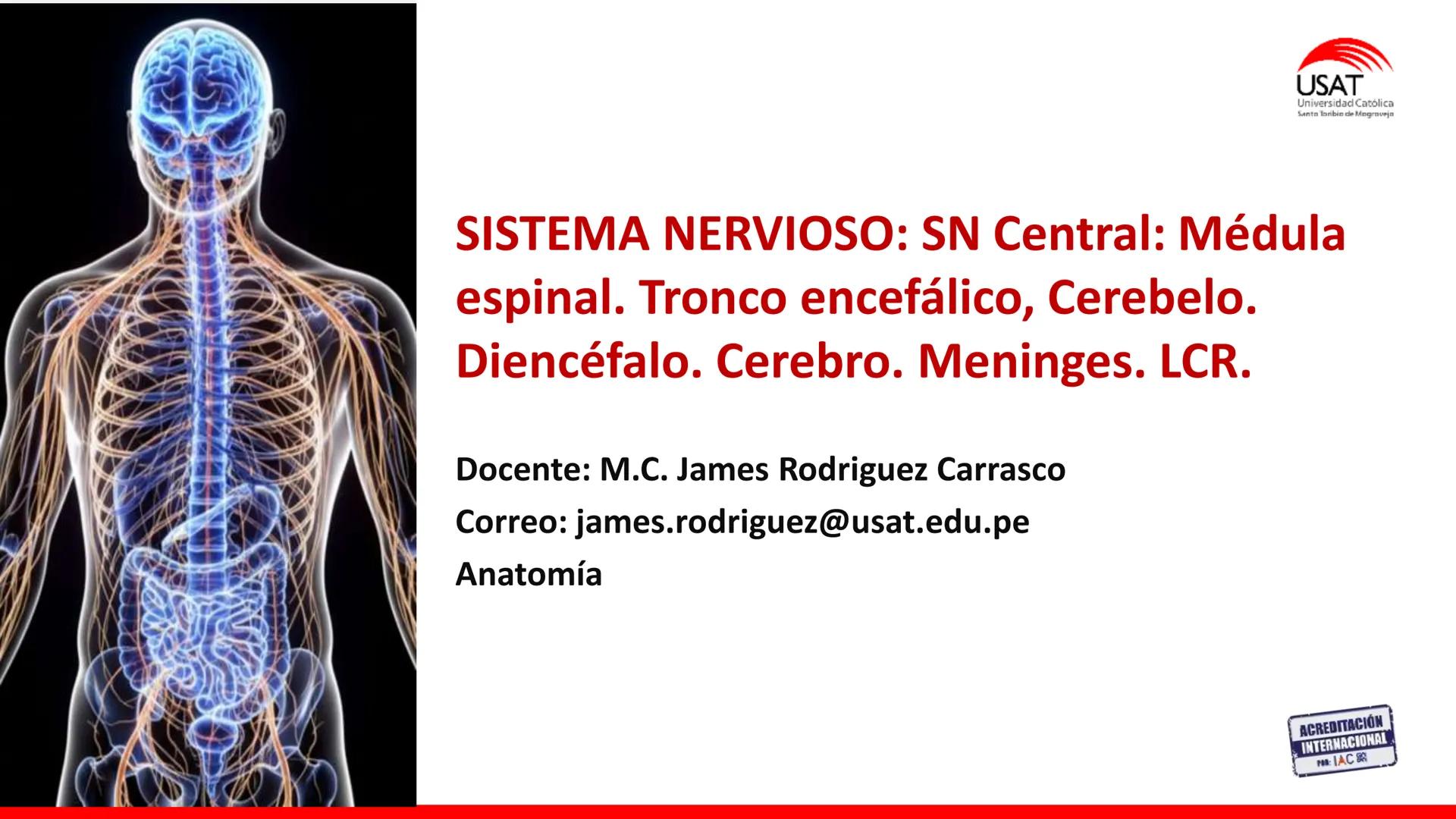 USAT
Universidad Católica
Santa Toribin de Magraveja
SISTEMA NERVIOSO: SN Central: Médula
espinal. Tronco encefálico, Cerebelo.
Diencéfalo.
