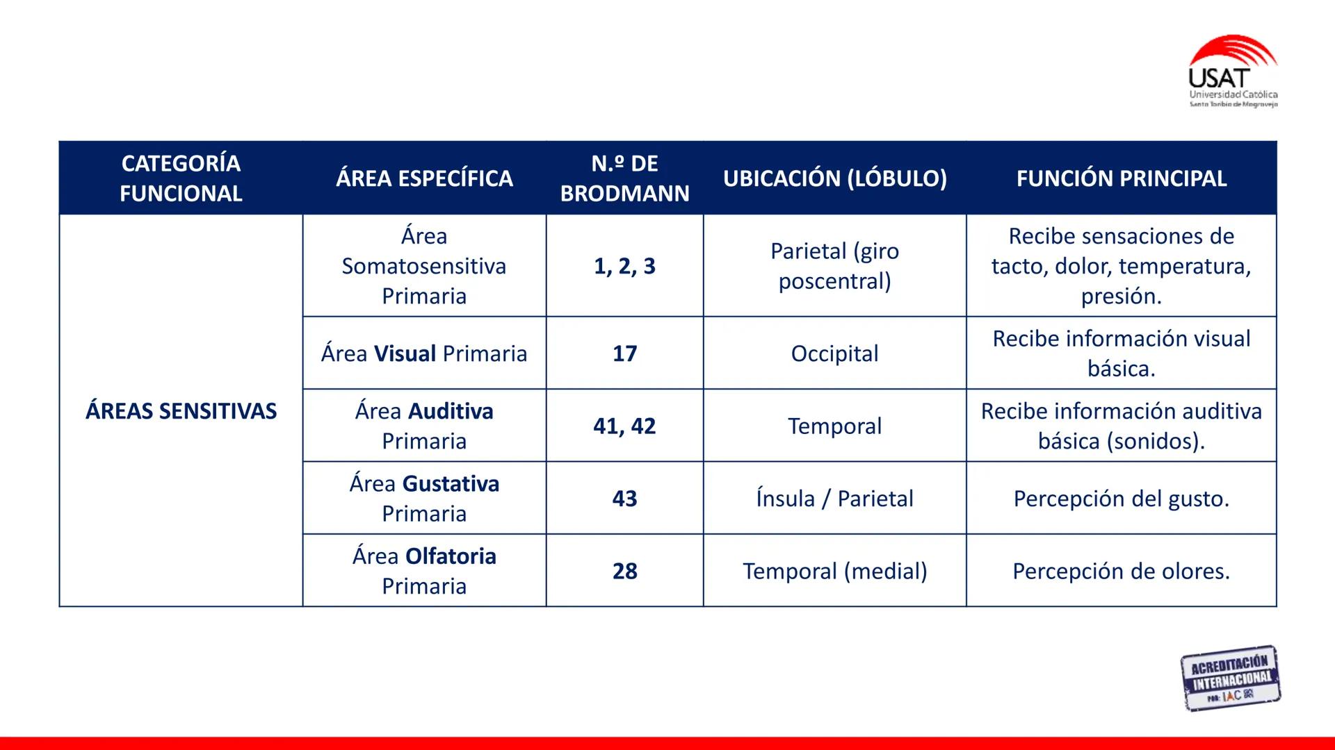 USAT
Universidad Católica
Santa Toribin de Magraveja
SISTEMA NERVIOSO: SN Central: Médula
espinal. Tronco encefálico, Cerebelo.
Diencéfalo.