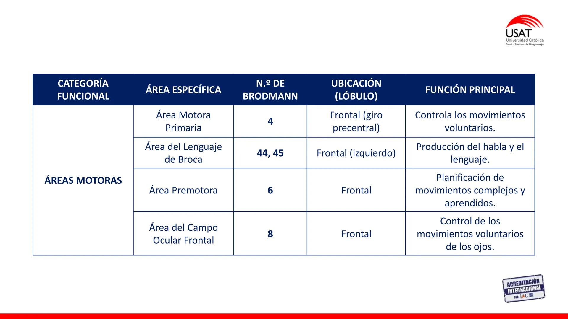 USAT
Universidad Católica
Santa Toribin de Magraveja
SISTEMA NERVIOSO: SN Central: Médula
espinal. Tronco encefálico, Cerebelo.
Diencéfalo.