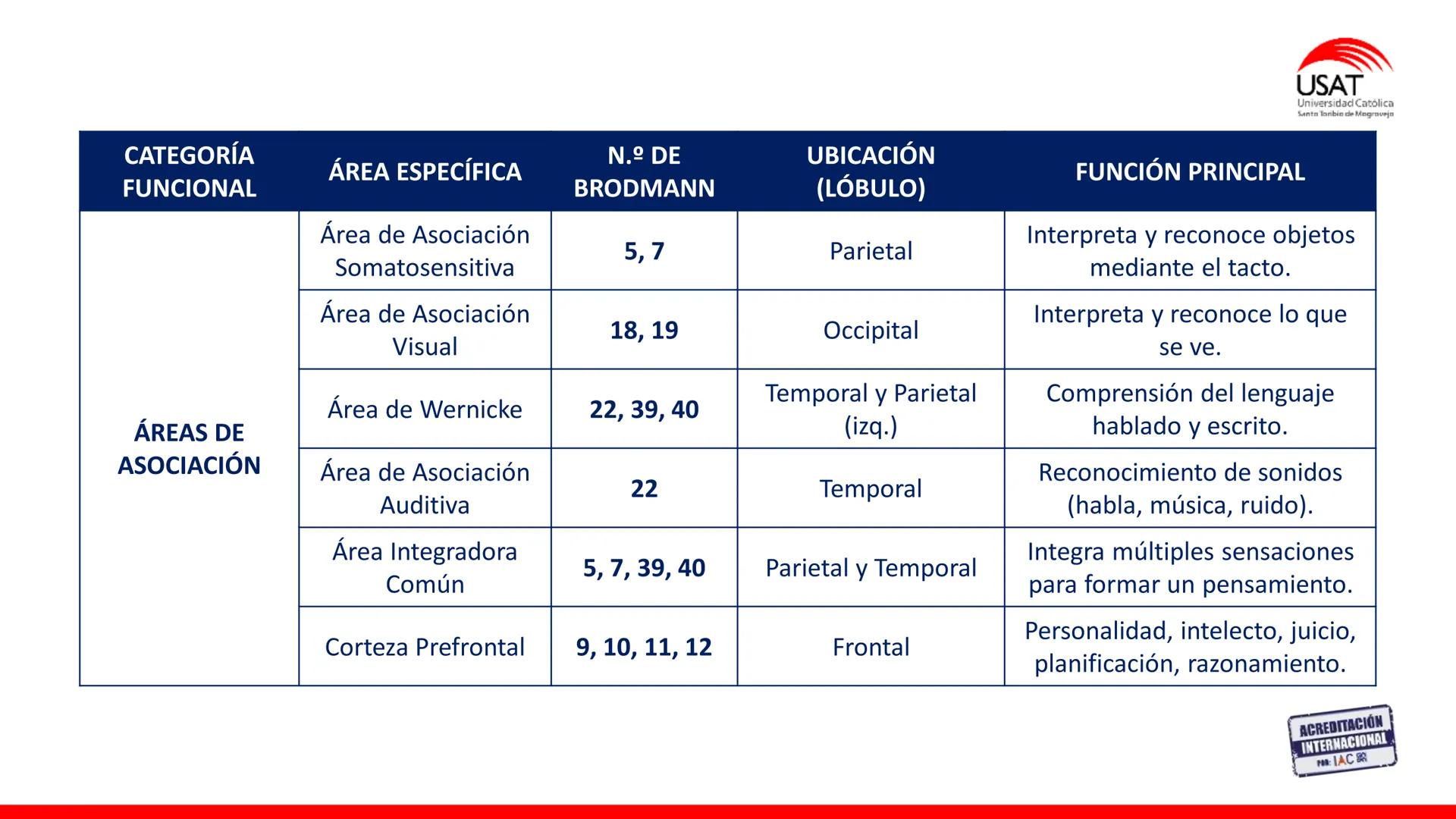 USAT
Universidad Católica
Santa Toribin de Magraveja
SISTEMA NERVIOSO: SN Central: Médula
espinal. Tronco encefálico, Cerebelo.
Diencéfalo.