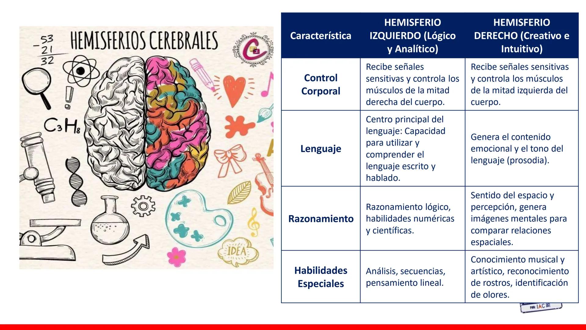 USAT
Universidad Católica
Santa Toribin de Magraveja
SISTEMA NERVIOSO: SN Central: Médula
espinal. Tronco encefálico, Cerebelo.
Diencéfalo.