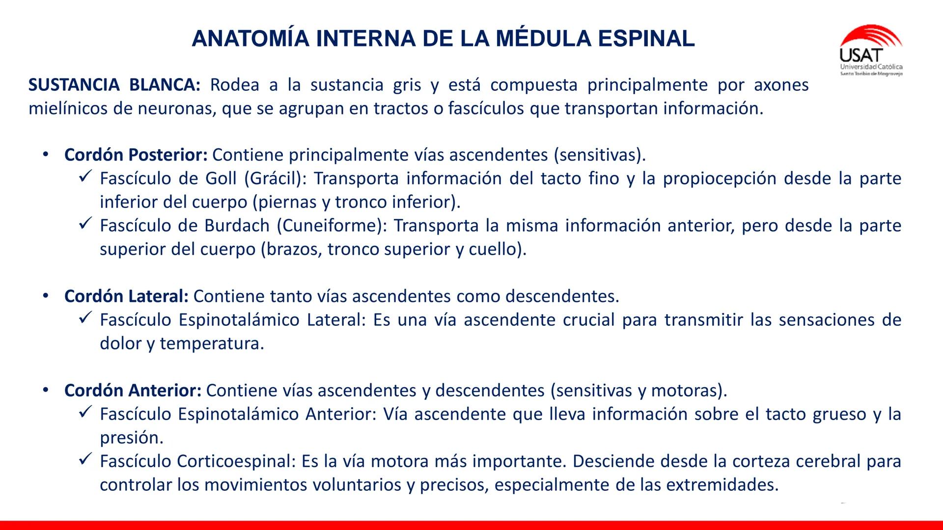 USAT
Universidad Católica
Santa Toribin de Magraveja
SISTEMA NERVIOSO: SN Central: Médula
espinal. Tronco encefálico, Cerebelo.
Diencéfalo.
