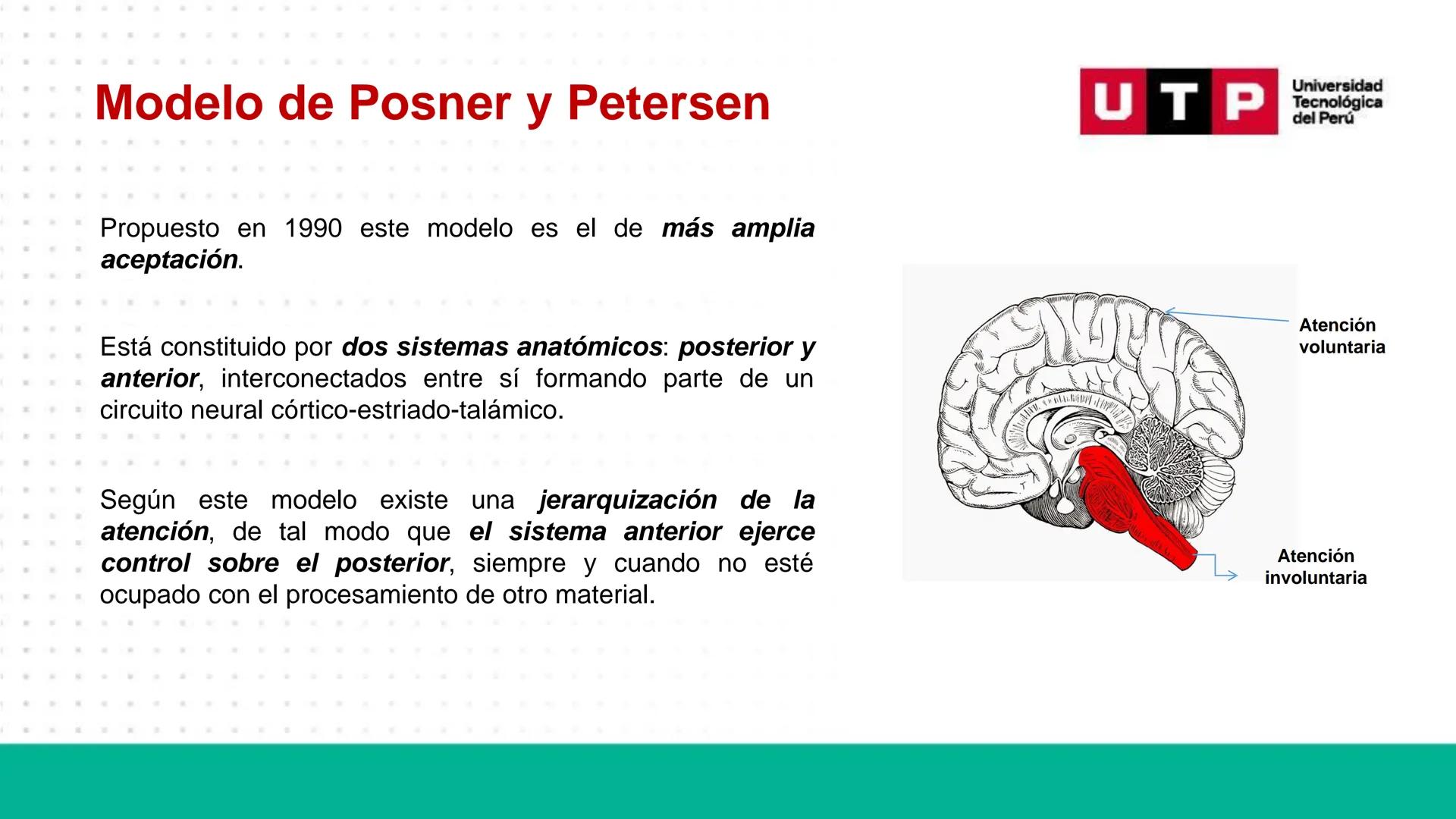 # Bases biológicas del
comportamiento
Sesión 13: Atención y conciencia
Universidad
UTP Tecnológica
del Perú Recordemos
Universidad
UTP Te
